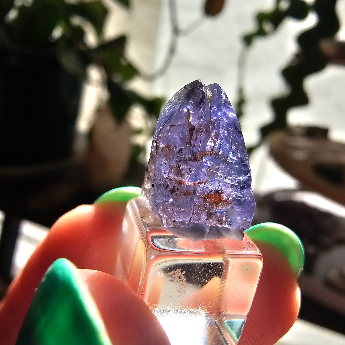 10.2ct Tanzanite Crystal, Unheated Natural Terminated Gemstone, December Birthstone, Raw Purple Blue Zoisite, Merelani Hills, Pleocroism