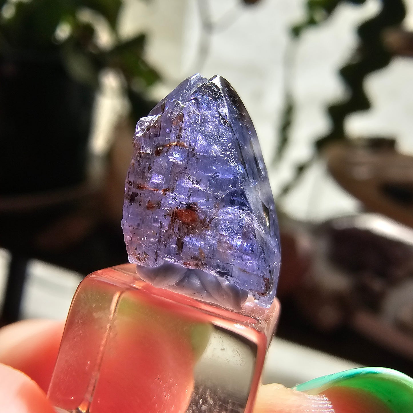 10.2ct Tanzanite Crystal, Unheated Natural Terminated Gemstone, December Birthstone, Raw Purple Blue Zoisite, Merelani Hills, Pleocroism