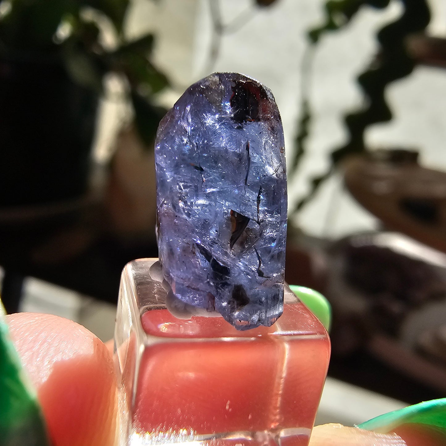 10.2ct Tanzanite Crystal, Unheated Natural Terminated Gemstone, December Birthstone, Raw Purple Blue Zoisite, Merelani Hills, Pleocroism