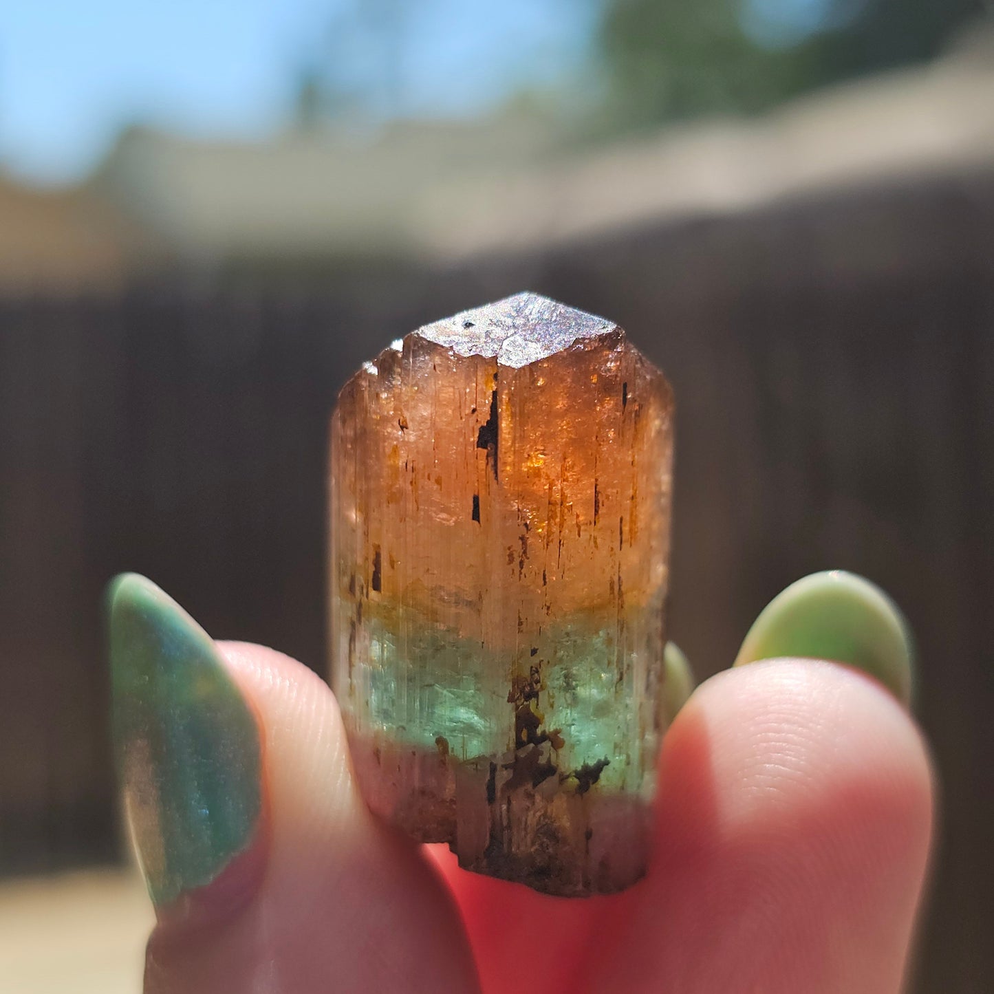 RESERVED Tourmaline Crystal, Double Terminated, 18.2g, Tricolor Gemstone, Uncleaned, Blue Purple and Orange Pink, Rare Colors, High End