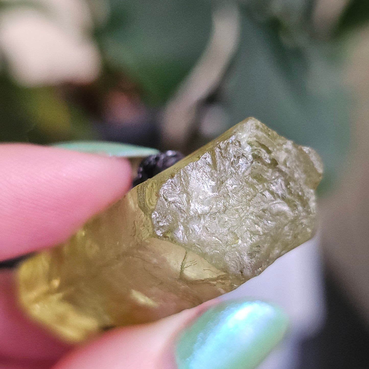 Heliodor w Hematite Rose, Big 25g Bright Yellow Beryl Crystal, Raw Terminated, High Luster, Saturated, Rare Collector Gemstone, Fine Mineral