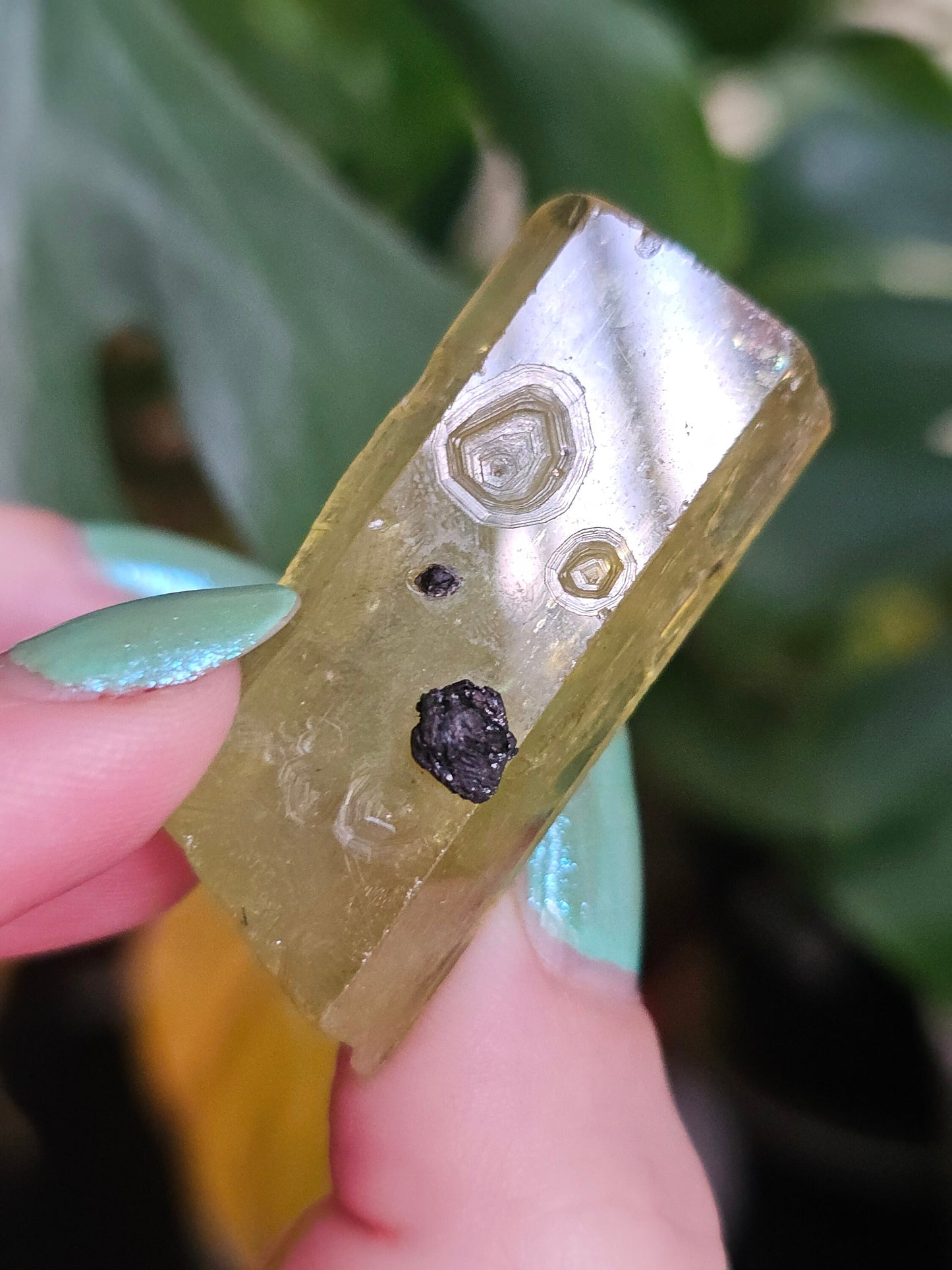 Heliodor w Hematite Rose, Big 25g Bright Yellow Beryl Crystal, Raw Terminated, High Luster, Saturated, Rare Collector Gemstone, Fine Mineral