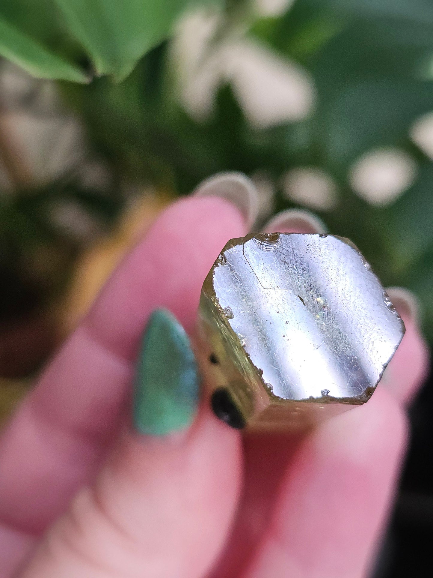 Heliodor w Hematite Rose, Big 25g Bright Yellow Beryl Crystal, Raw Terminated, High Luster, Saturated, Rare Collector Gemstone, Fine Mineral