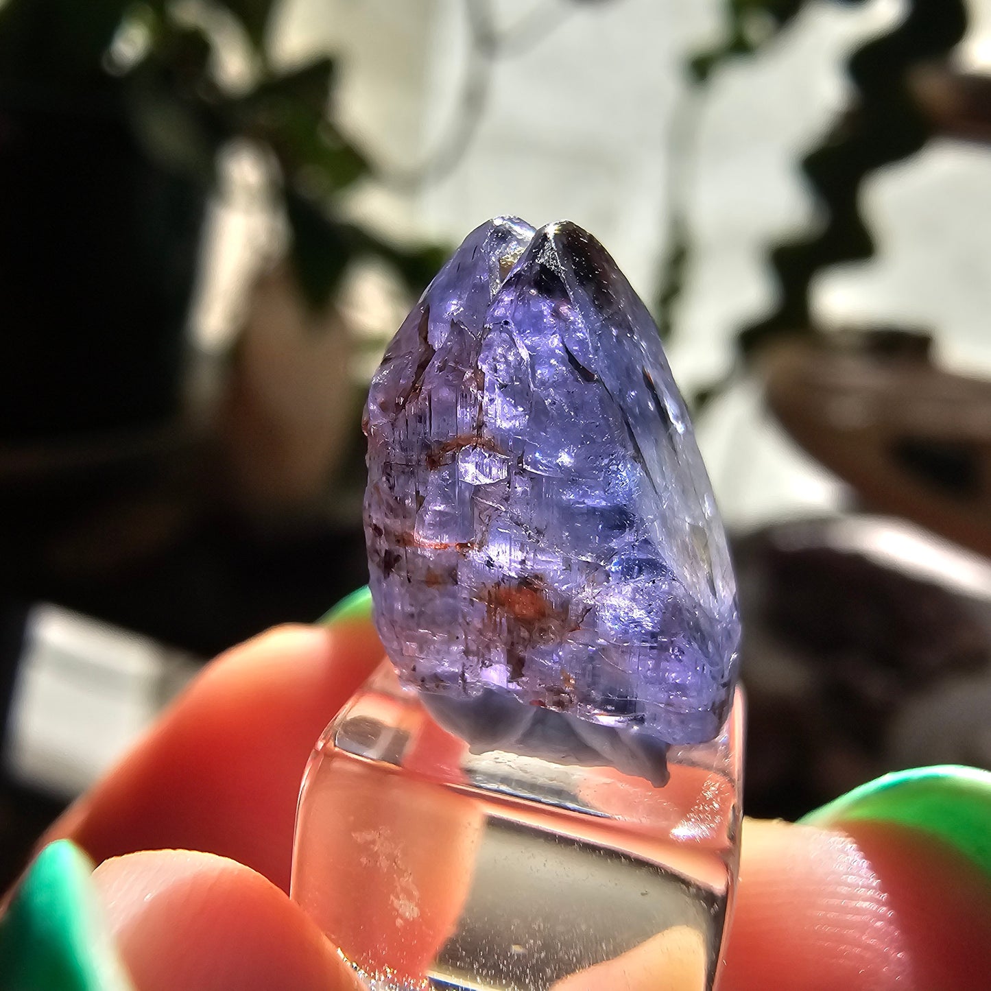 10.2ct Tanzanite Crystal, Unheated Natural Terminated Gemstone, December Birthstone, Raw Purple Blue Zoisite, Merelani Hills, Pleocroism