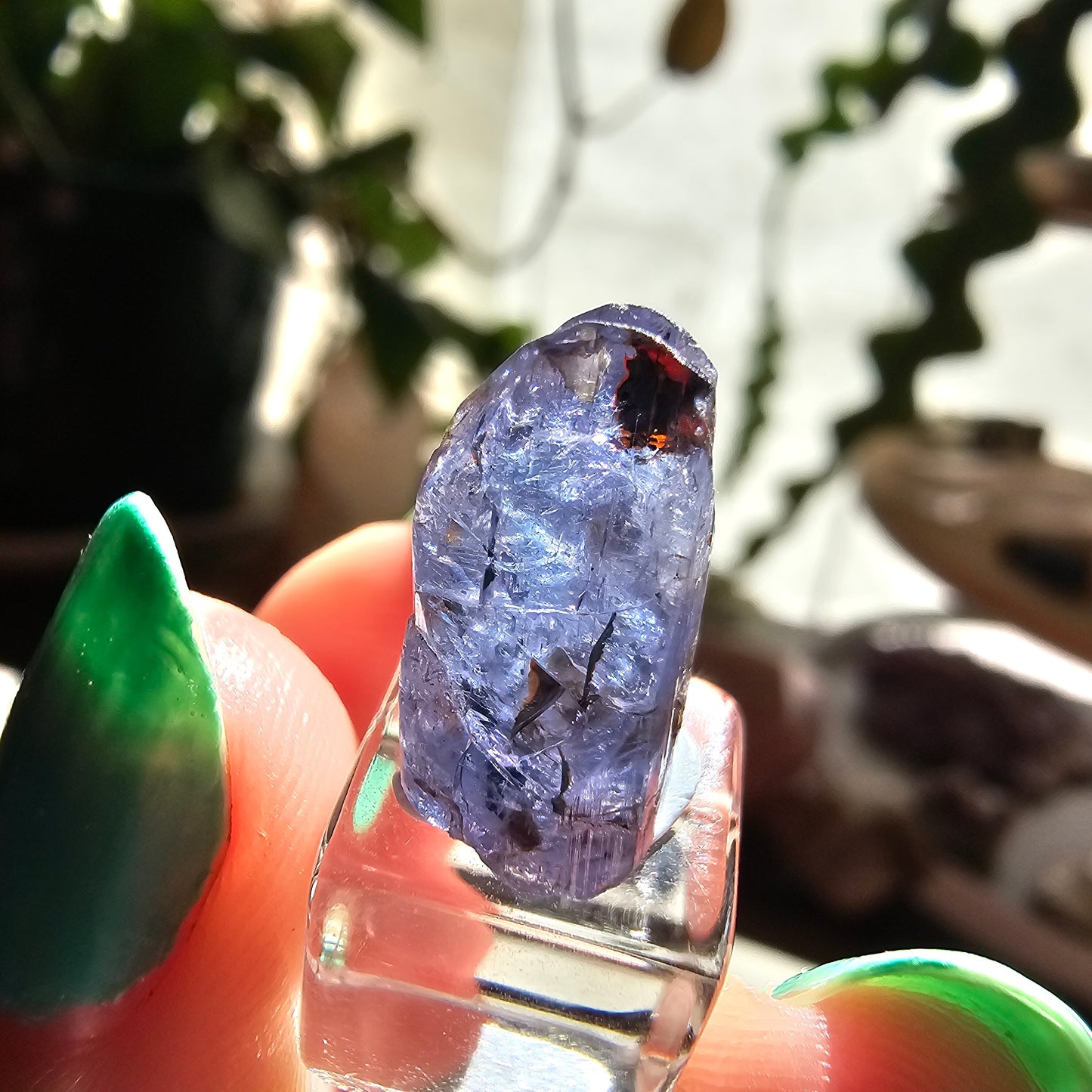 10.2ct Tanzanite Crystal, Unheated Natural Terminated Gemstone, December Birthstone, Raw Purple Blue Zoisite, Merelani Hills, Pleocroism