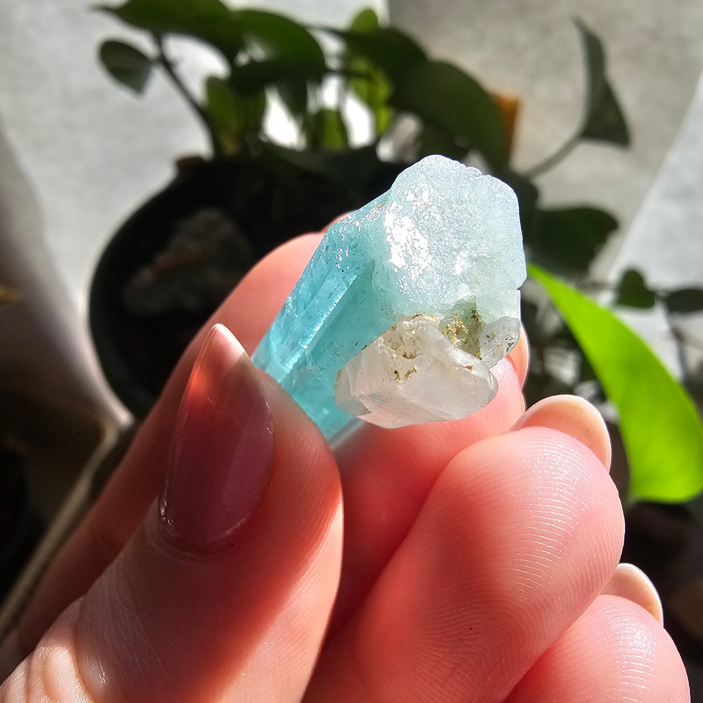 Emerald with Quartz, 40c Natural Terminated Crystal, Beautiful Earth, Rare Precious Beryl, Bright Neon Genuine Collector Gemstone, New Find