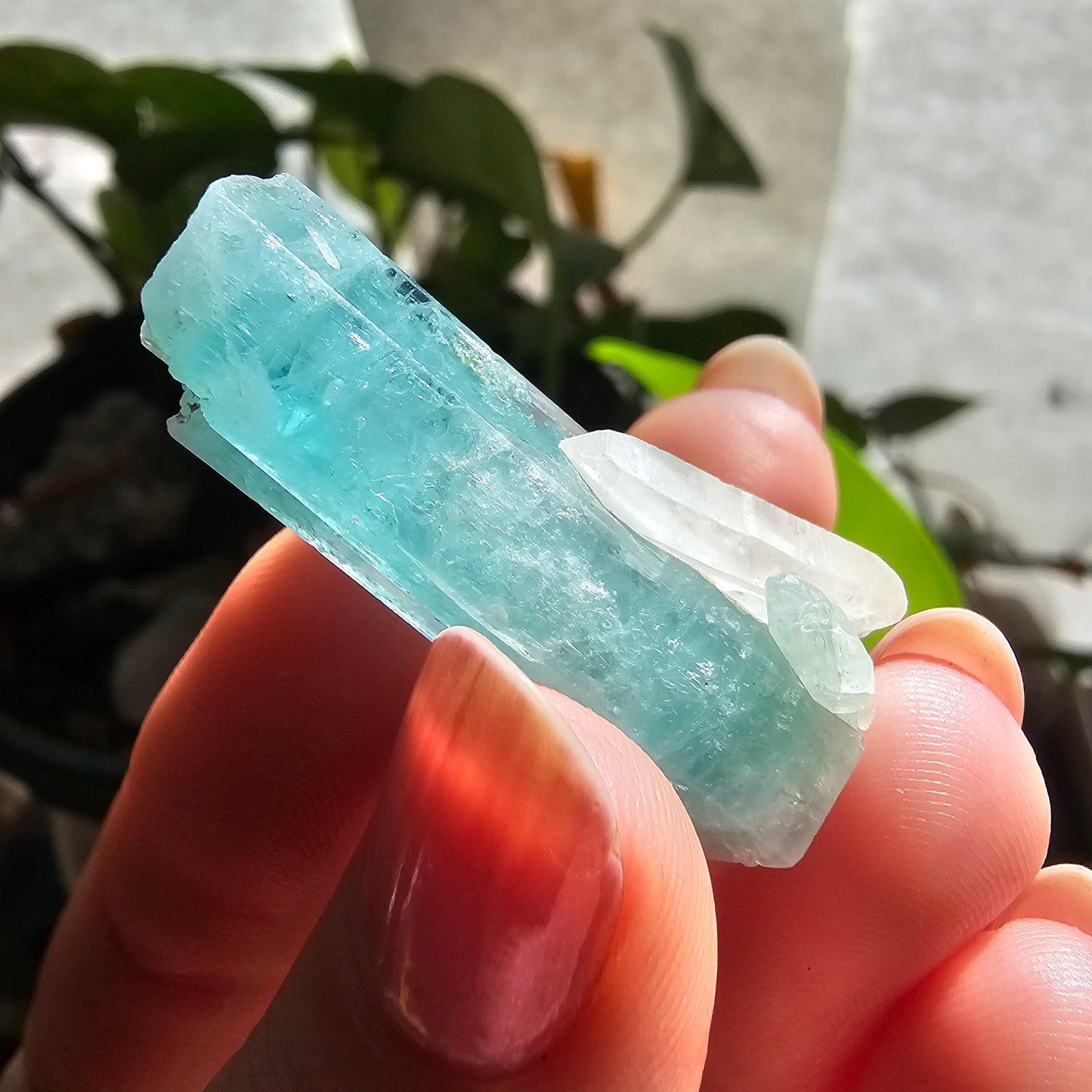 Emerald with Quartz, 40c Natural Terminated Crystal, Beautiful Earth, Rare Precious Beryl, Bright Neon Genuine Collector Gemstone, New Find