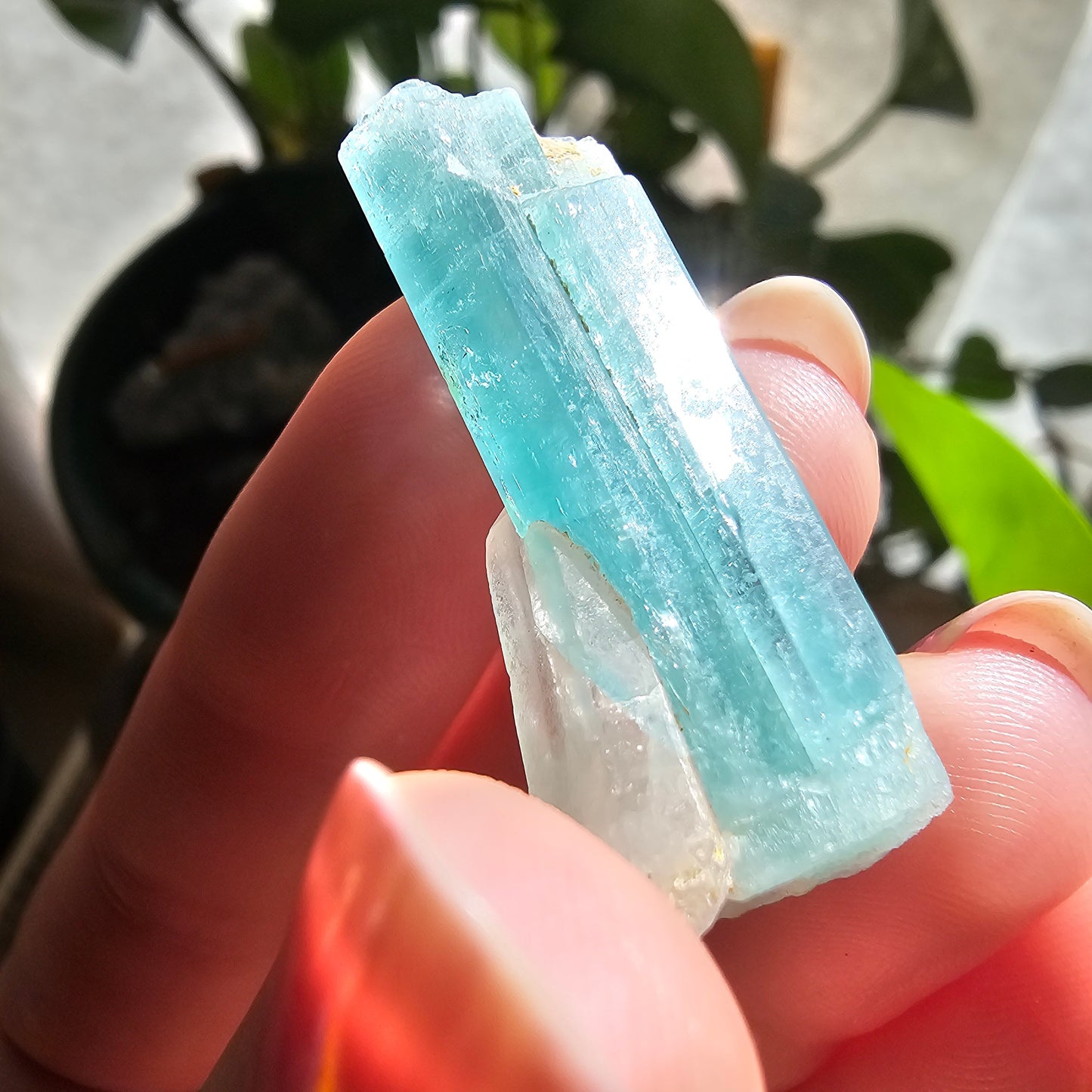 Emerald with Quartz, 40c Natural Terminated Crystal, Beautiful Earth, Rare Precious Beryl, Bright Neon Genuine Collector Gemstone, New Find