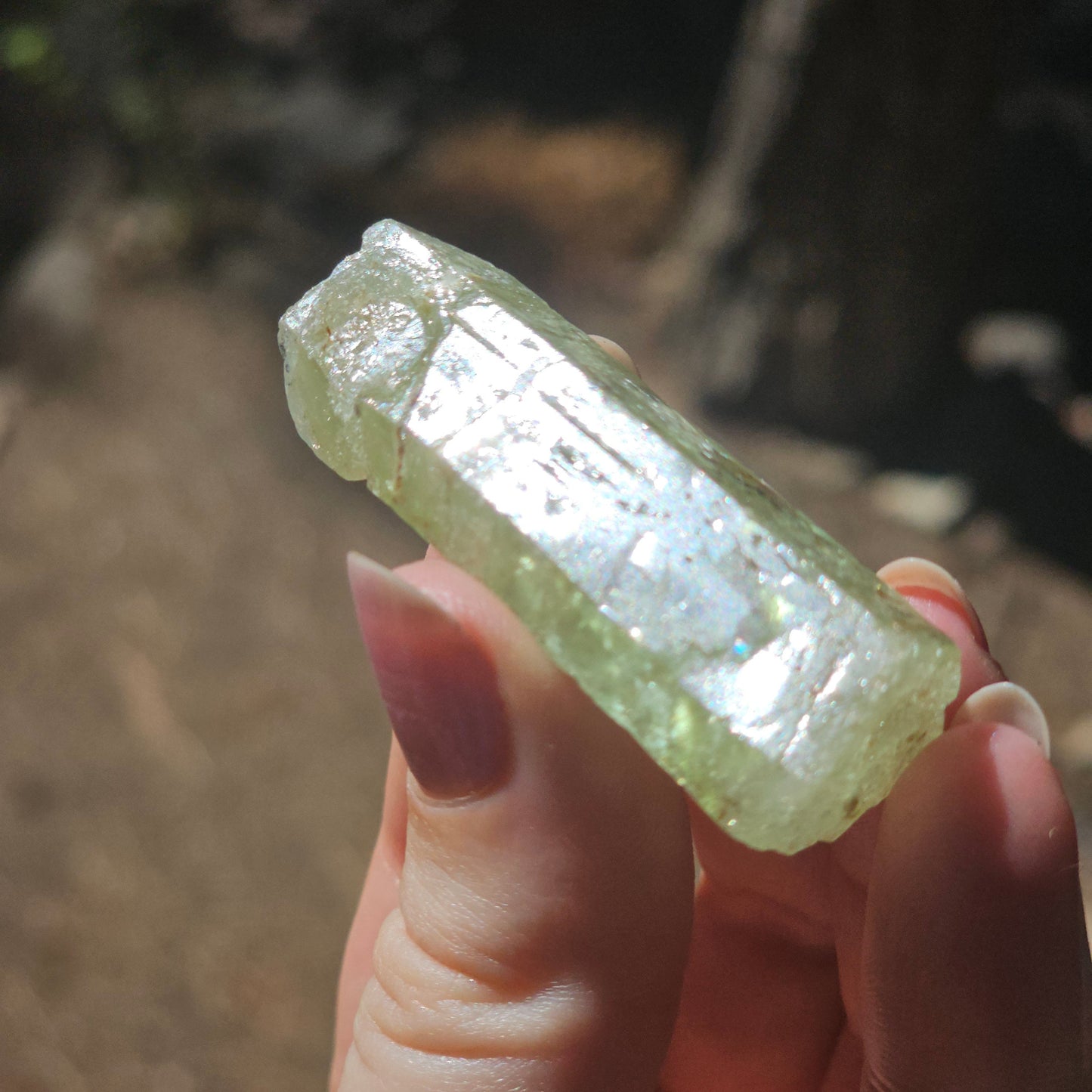 Heliodor Beryl ~ Etched Rare Raw Crystal Specimen, 25g Old Stock Padre Paraiso