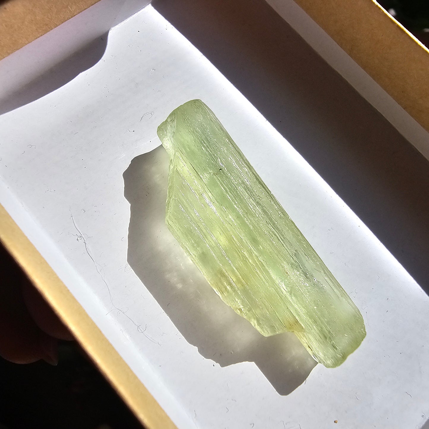 Heliodor Beryl, Tabby Rare Raw Crystal Specimen, 7.9g Old Stock Padre Paraiso Material