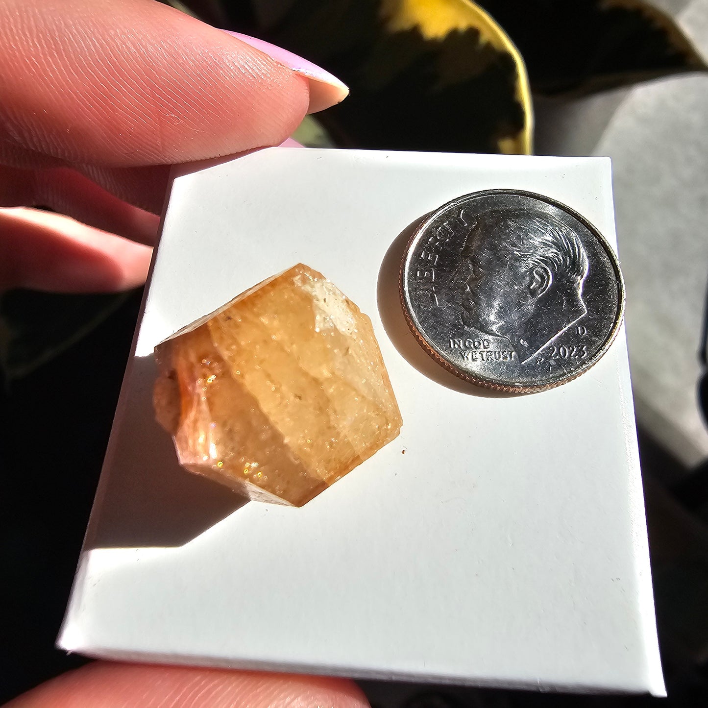 Rare Orange Garnet, 25.7ct Kenyan, Old Stock <100