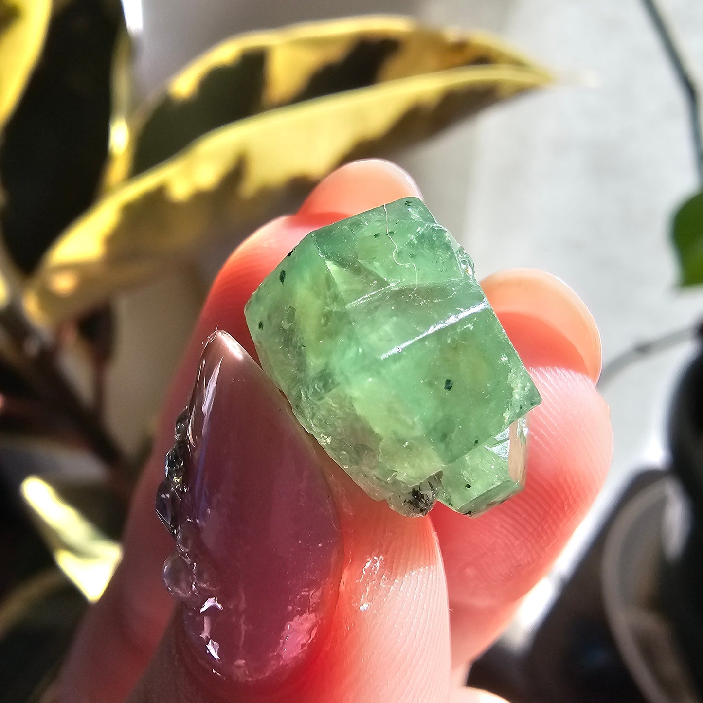 Demantoid Garnet Floater Crystal, 21.8ct Large Old Stock