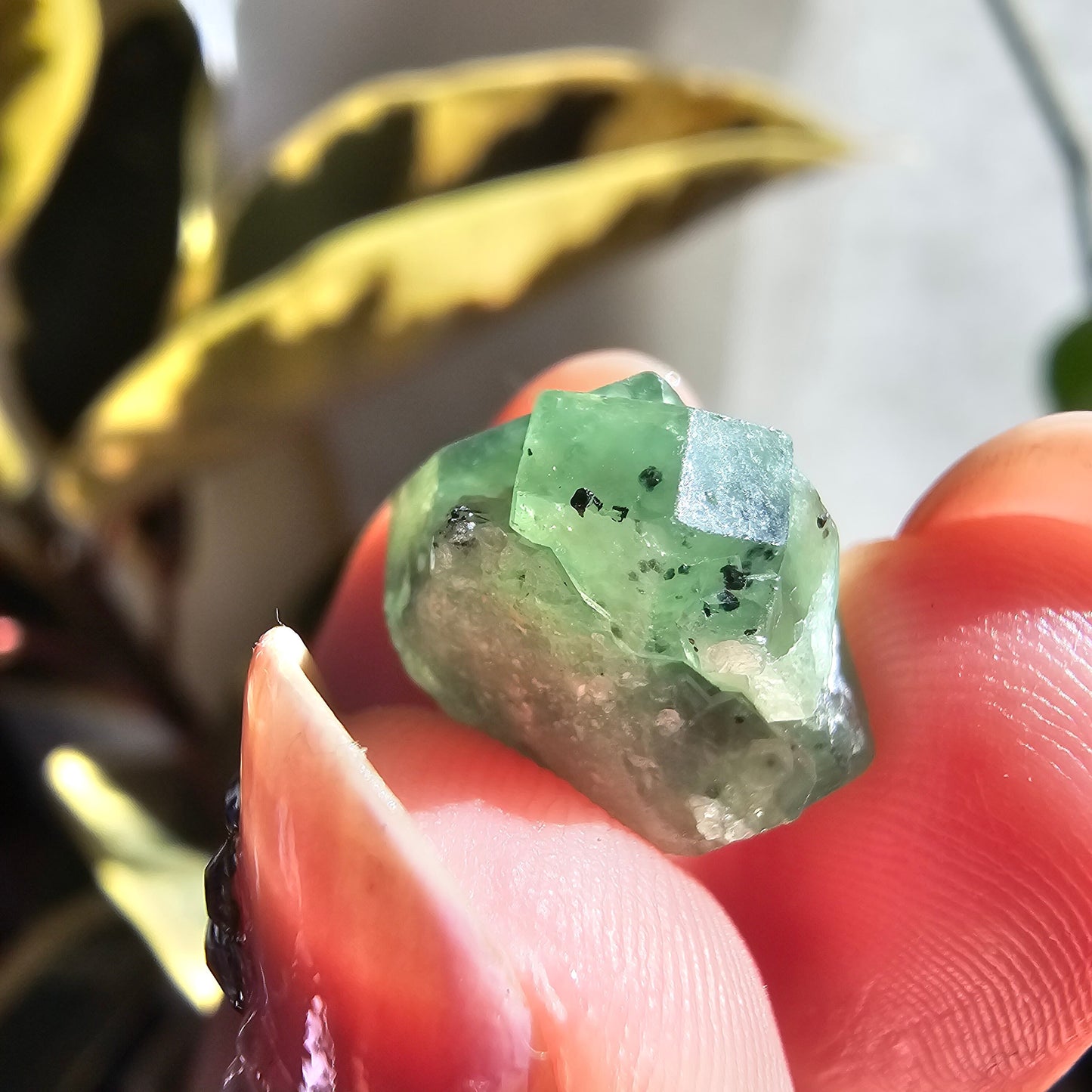 Demantoid Garnet Floater Crystal, 21.8ct Large Old Stock