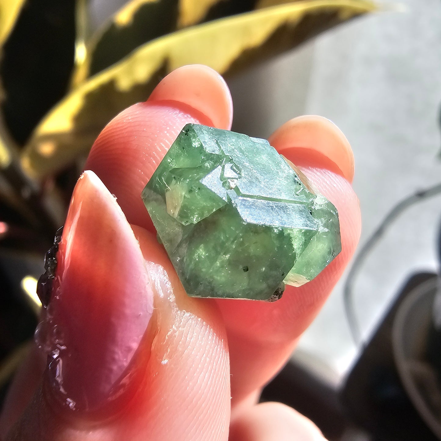 Demantoid Garnet Floater Crystal, 21.8ct Large Old Stock