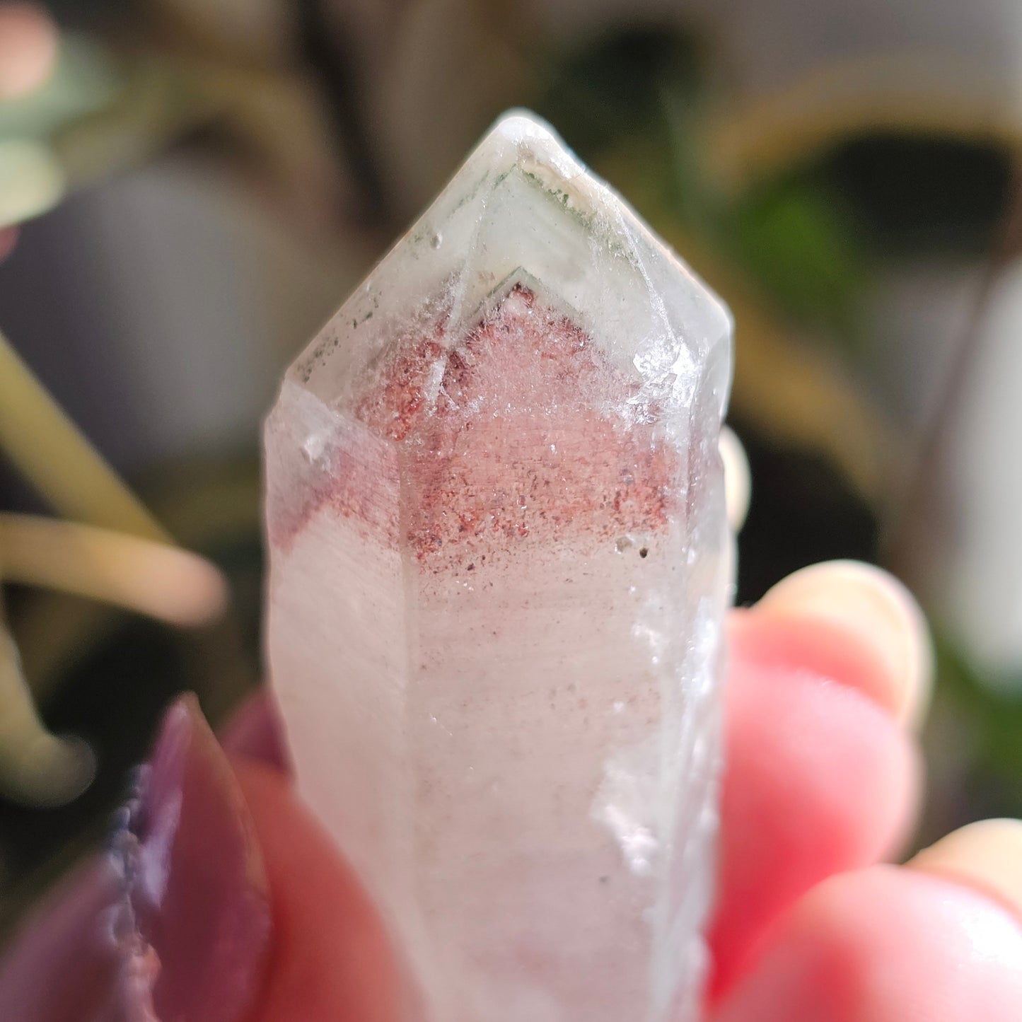 Harlequin Quartz, 33g, with Hematite Phantoms