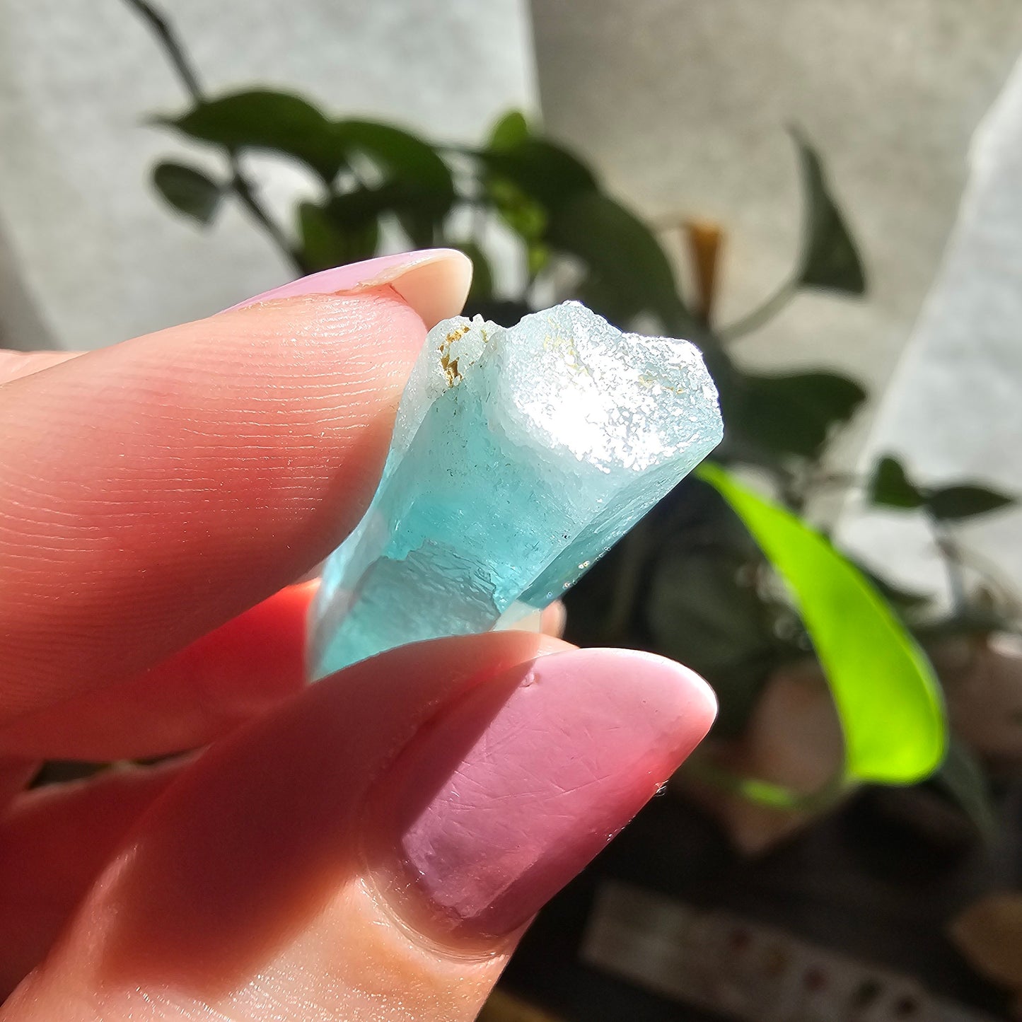 Emerald with Quartz, 40c Natural Terminated Crystal, Beautiful Earth, Rare Precious Beryl, Bright Neon Genuine Collector Gemstone, New Find