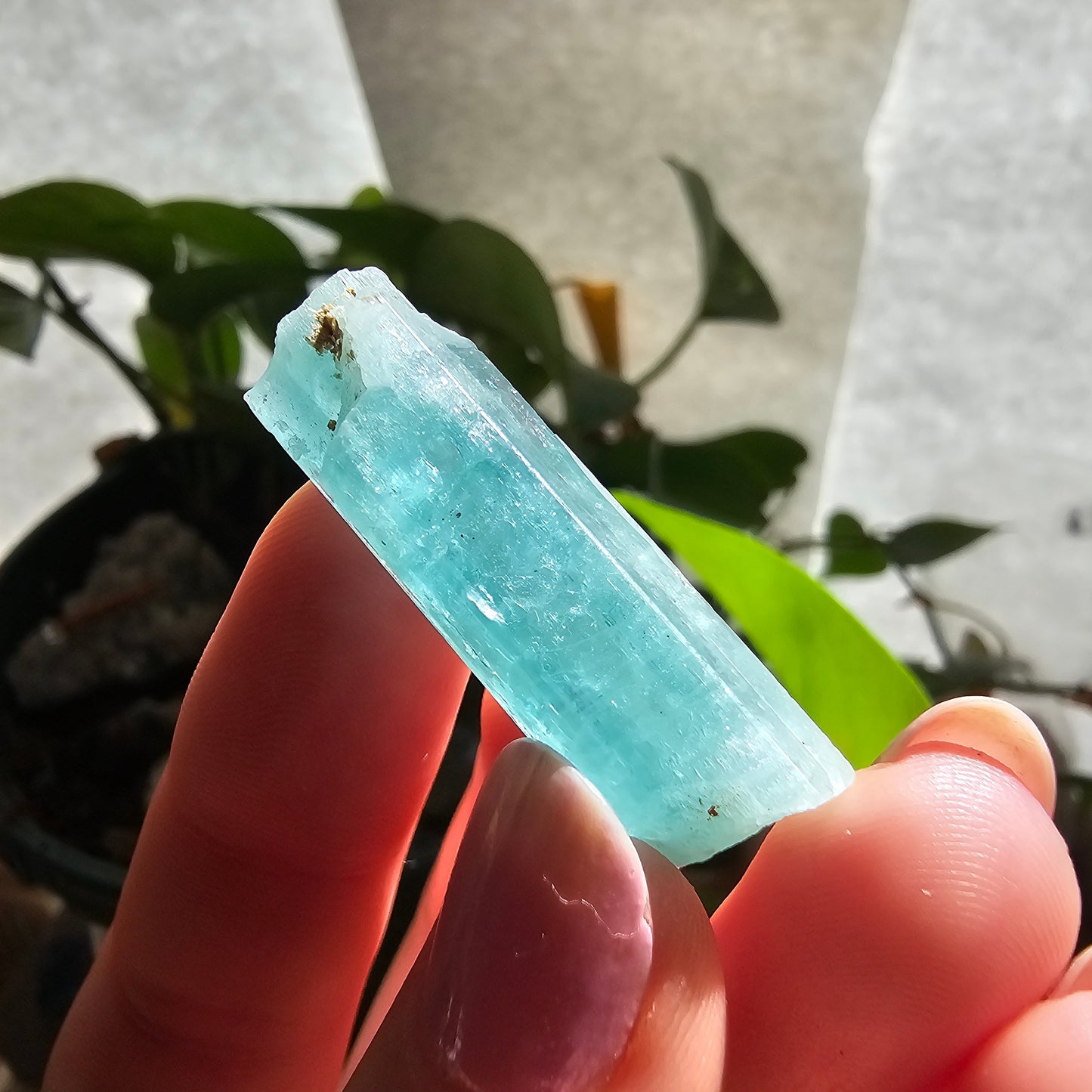 Emerald with Quartz, 40c Natural Terminated Crystal, Beautiful Earth, Rare Precious Beryl, Bright Neon Genuine Collector Gemstone, New Find
