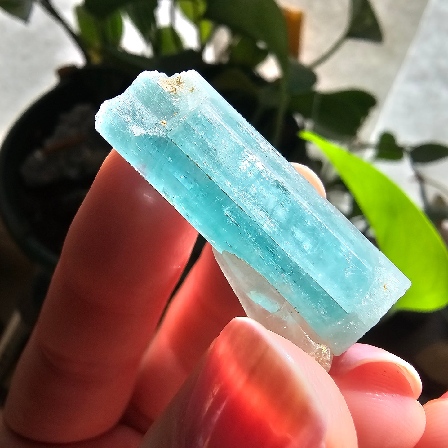Emerald with Quartz, 40c Natural Terminated Crystal, Beautiful Earth, Rare Precious Beryl, Bright Neon Genuine Collector Gemstone, New Find