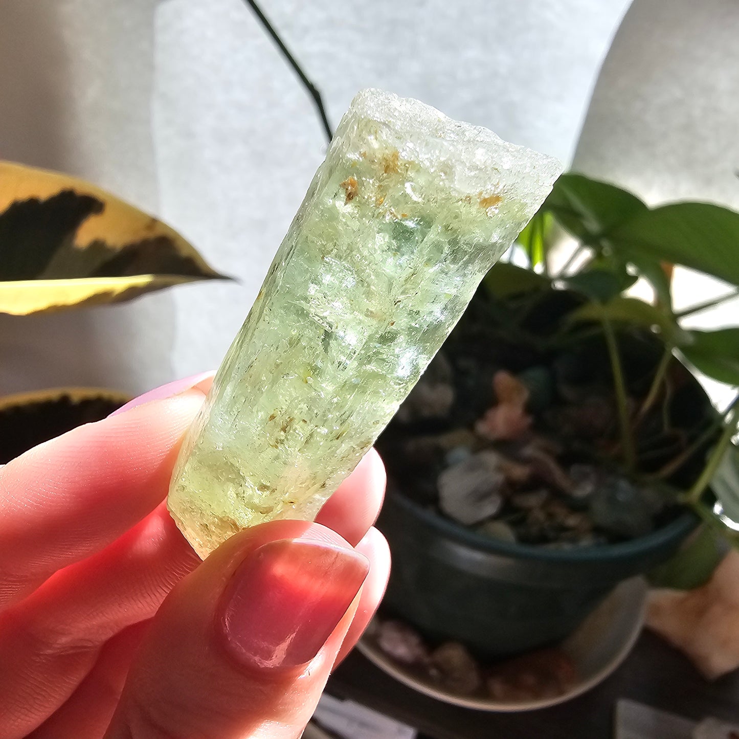 Heliodor Beryl ~ Etched Rare Raw Crystal Specimen, 25g Old Stock Padre Paraiso