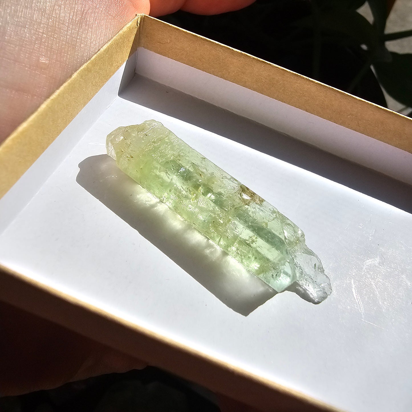 Heliodor Beryl, Etched Rare Raw Crystal Specimen, 8.6g Old Stock Padre Paraiso Material, Collector Mineral Gemstone, Bright Vibrant Stone