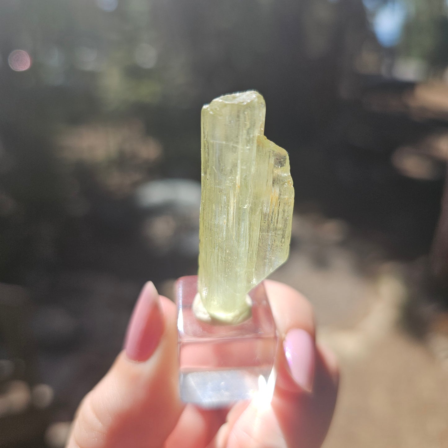 Heliodor Beryl, Tabby Rare Raw Crystal Specimen, 7.9g Old Stock Padre Paraiso Material