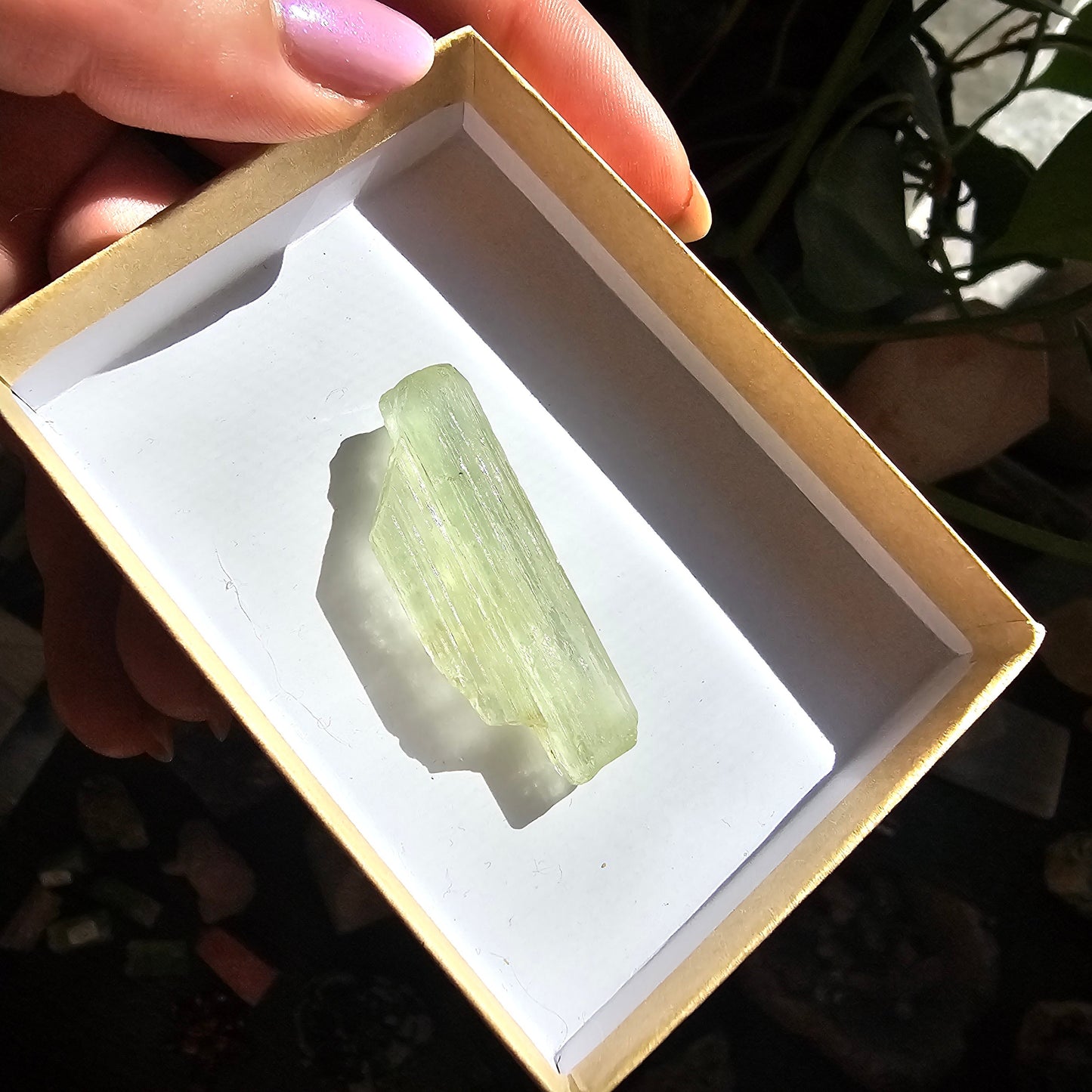 Heliodor Beryl, Tabby Rare Raw Crystal Specimen, 7.9g Old Stock Padre Paraiso Material