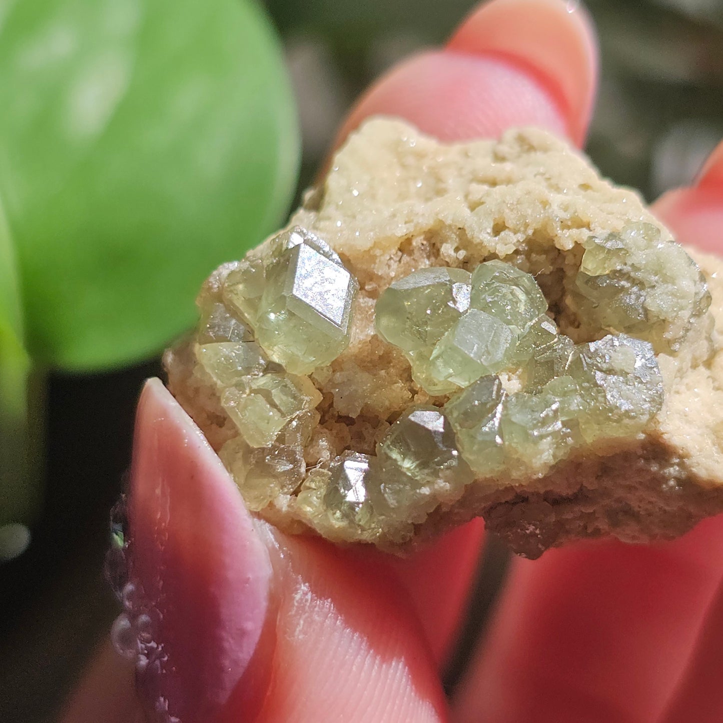 Demantoid Garnet Cluster 9g, Madagascar New Stock <100