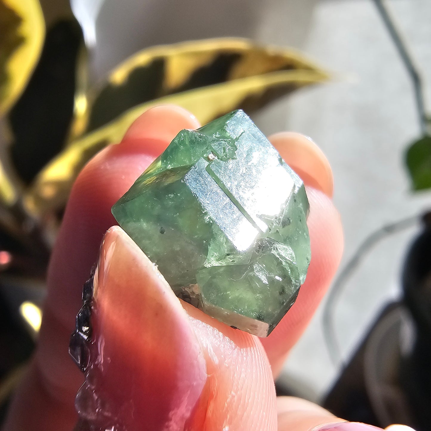 Demantoid Garnet Floater Crystal, 21.8ct Large Old Stock