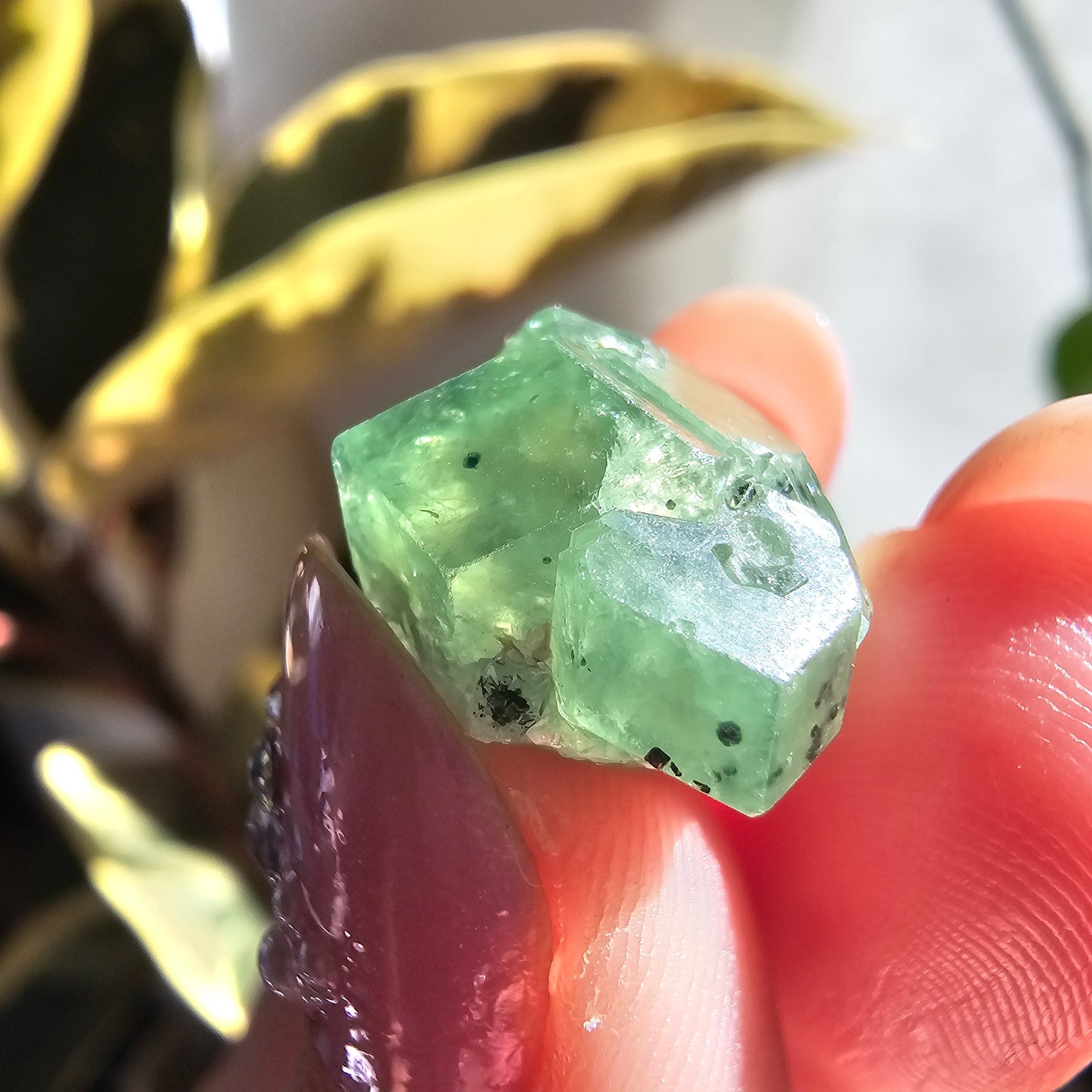 Demantoid Garnet Floater Crystal, 21.8ct Large Old Stock