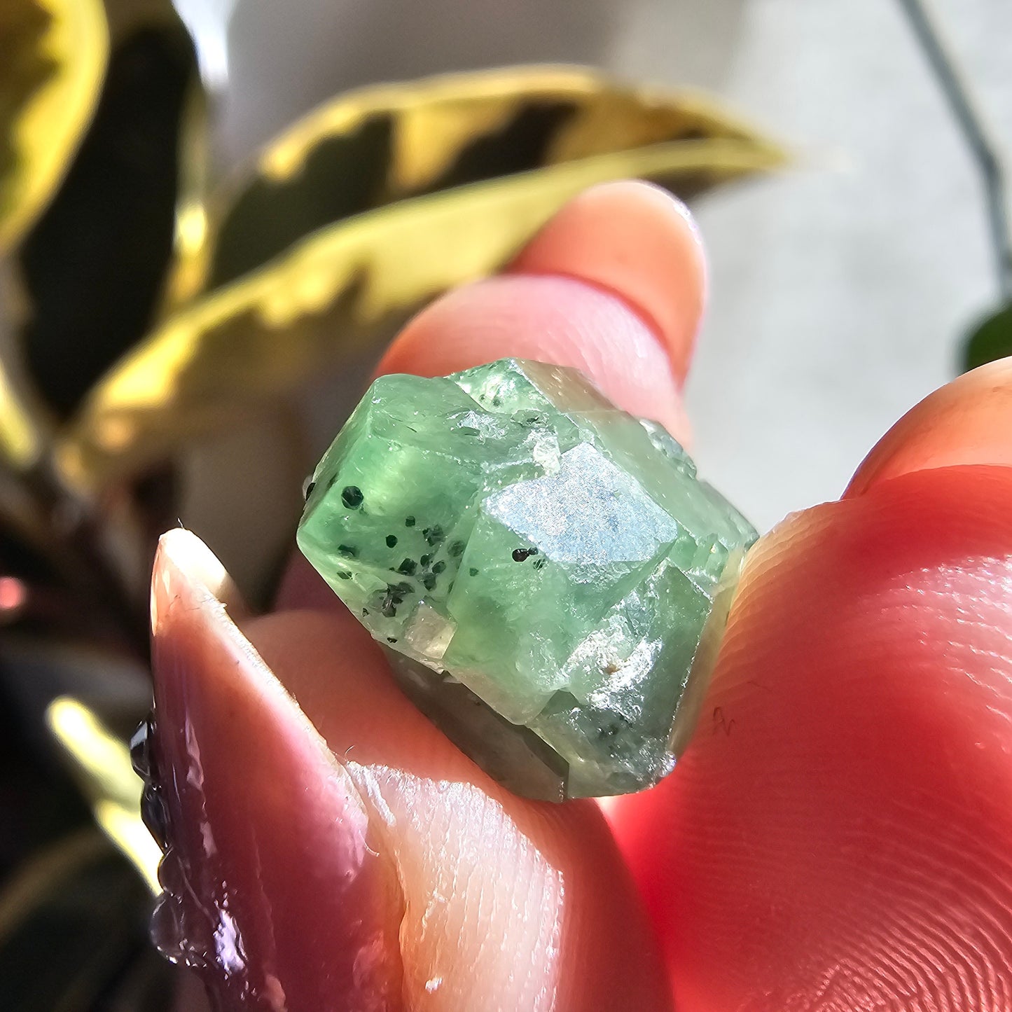 Demantoid Garnet Floater Crystal, 21.8ct Large Old Stock