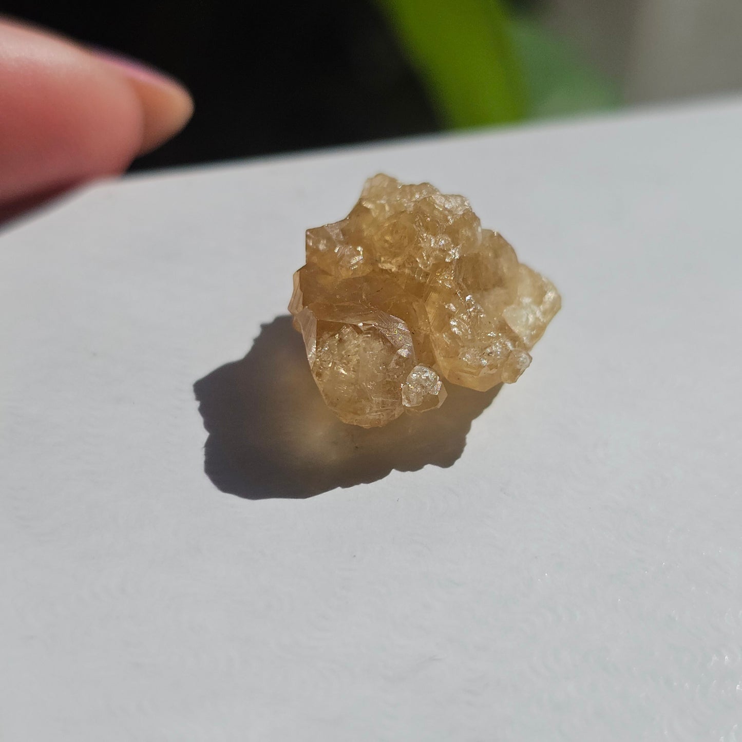 Gemmy Honey Garnet 15.3ct, Rare Hebei China Hessonite <100