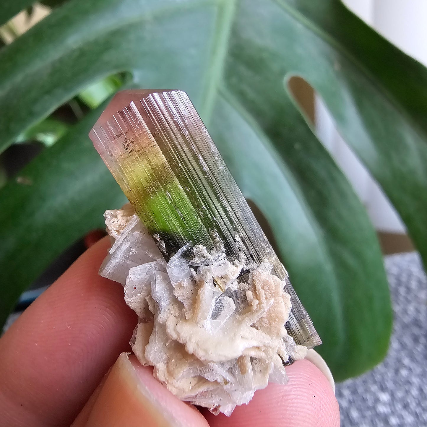 Tourmaline Crystal w Cleavandite, 9.2g Stak Nala Green & Pink Elbaite, Watermelon Tourmaline Colors, Distinct Light Shifts, Rare Mineral Art