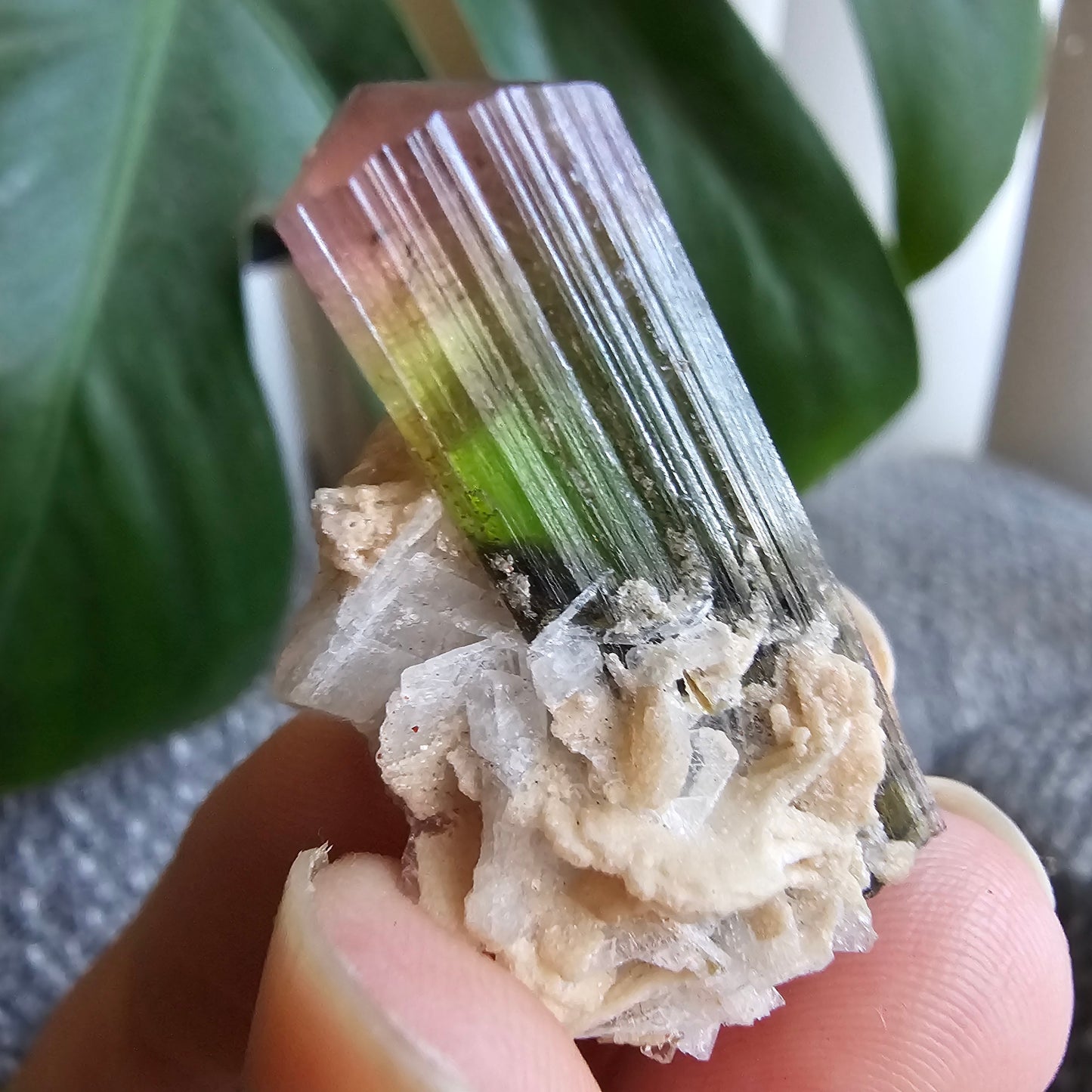 Tourmaline Crystal w Cleavandite, 9.2g Stak Nala Green & Pink Elbaite, Watermelon Tourmaline Colors, Distinct Light Shifts, Rare Mineral Art