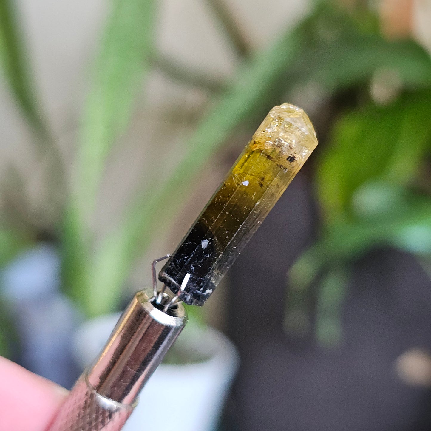 Rare Yellow and Black Elbaite Tourmaline, Old Stock Raw Crystal Specimen from Malkhan Russia | Bright Yellow, Terminated Small Thumbnail Gem