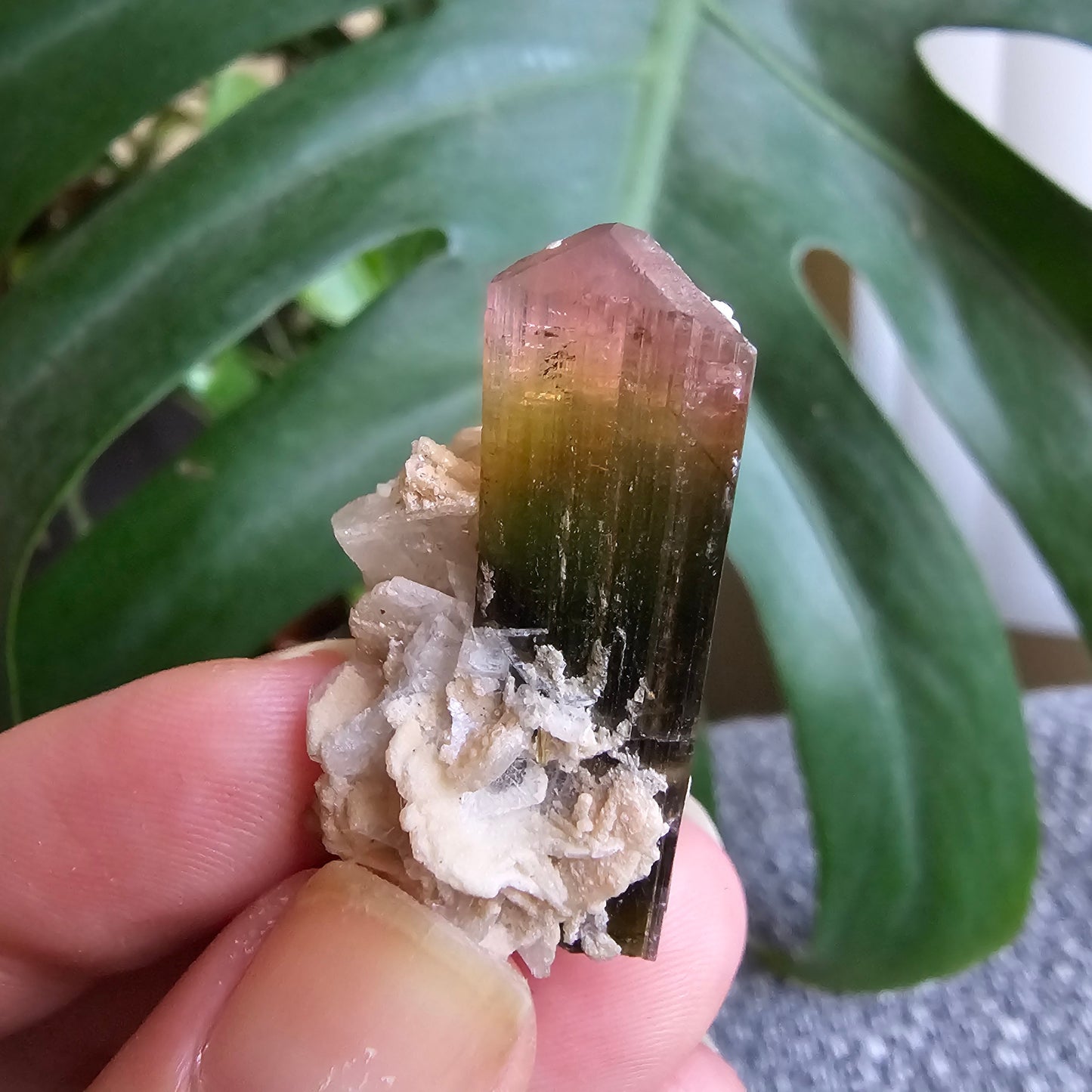 Tourmaline Crystal w Cleavandite, 9.2g Stak Nala Green & Pink Elbaite, Watermelon Tourmaline Colors, Distinct Light Shifts, Rare Mineral Art