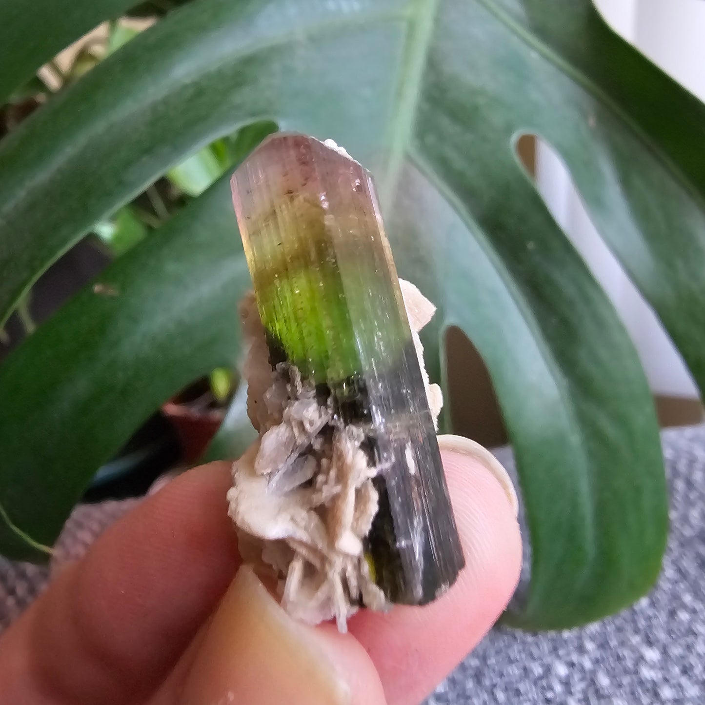 Tourmaline Crystal w Cleavandite, 9.2g Stak Nala Green & Pink Elbaite, Watermelon Tourmaline Colors, Distinct Light Shifts, Rare Mineral Art