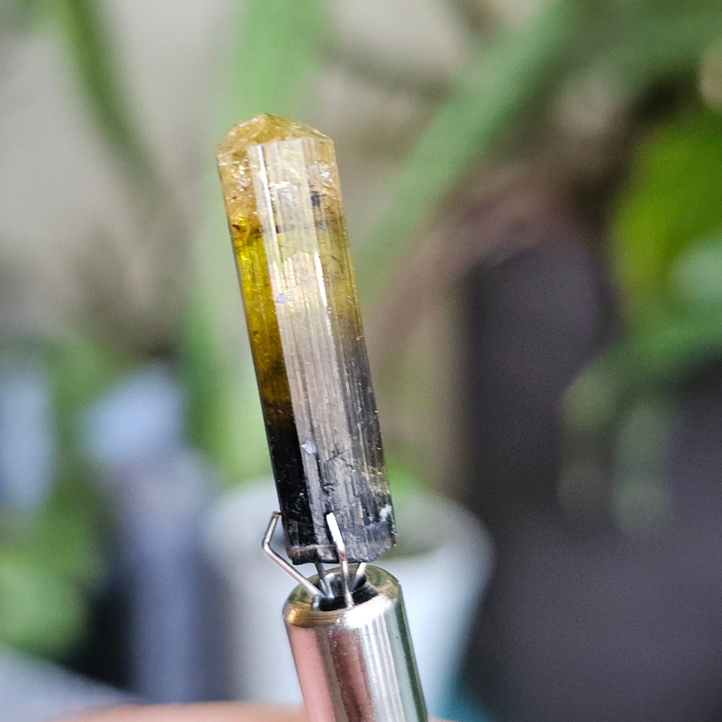 Rare Yellow and Black Elbaite Tourmaline, Old Stock Raw Crystal Specimen from Malkhan Russia | Bright Yellow, Terminated Small Thumbnail Gem
