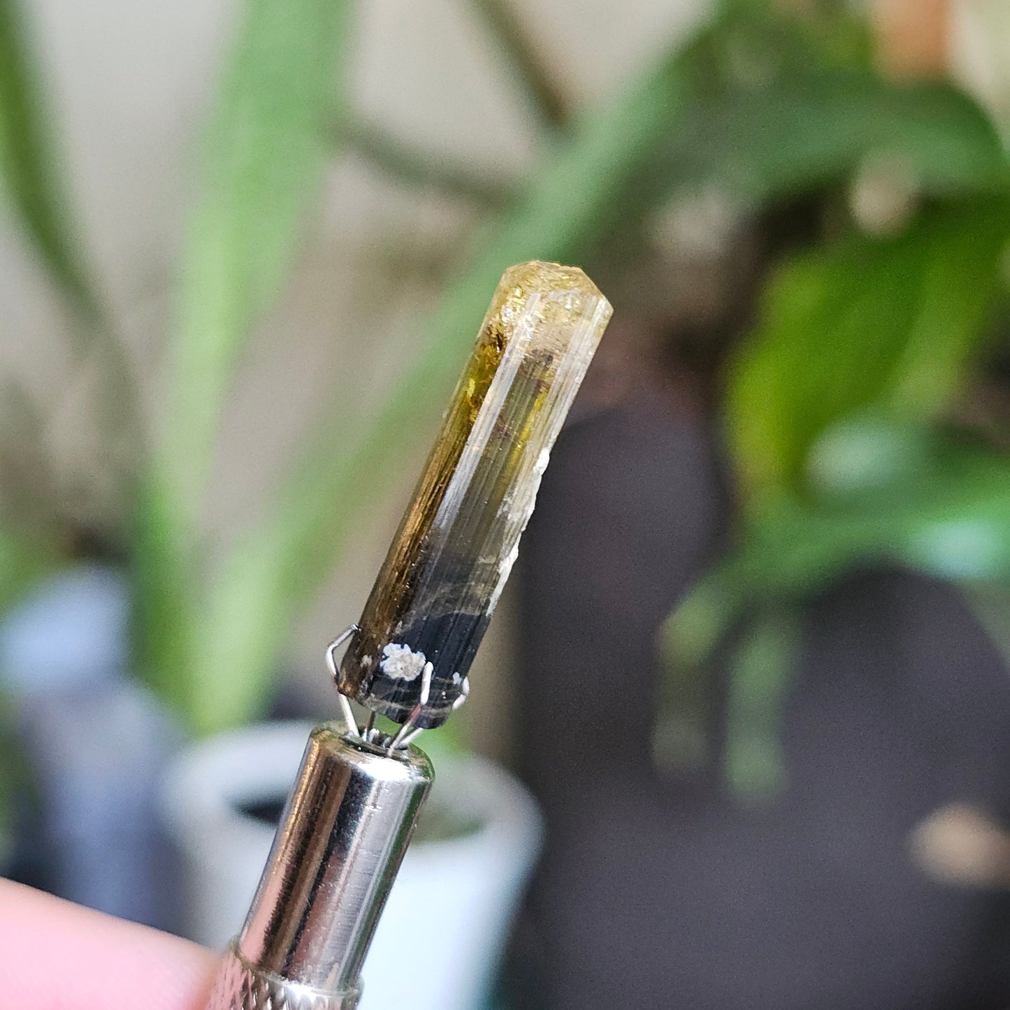 Rare Yellow and Black Elbaite Tourmaline, Old Stock Raw Crystal Specimen from Malkhan Russia | Bright Yellow, Terminated Small Thumbnail Gem