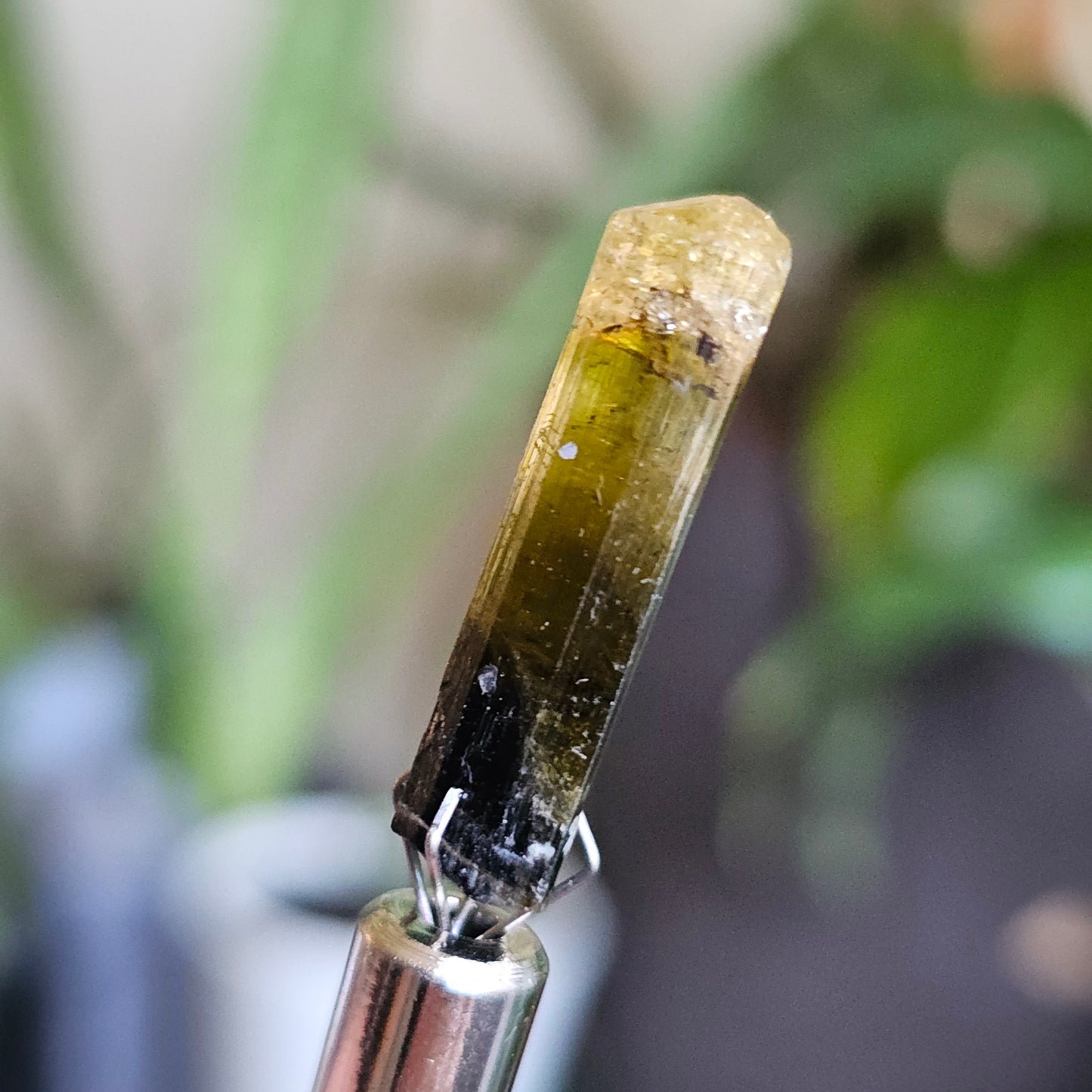 Rare Yellow and Black Elbaite Tourmaline, Old Stock Raw Crystal Specimen from Malkhan Russia | Bright Yellow, Terminated Small Thumbnail Gem