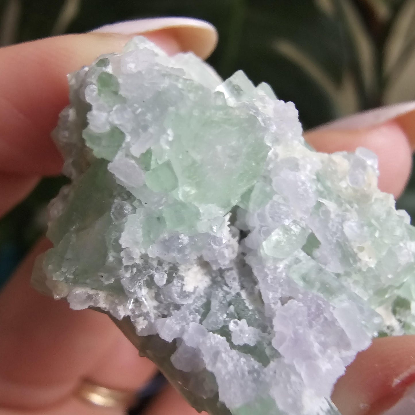 20g Seafoam Tourmaline Crystal Cluster, Lavender Purple Lepidolite Sparkles, Rare Raw Gemmy Mineral Specimen for Collection, HQ Gem, Laghman