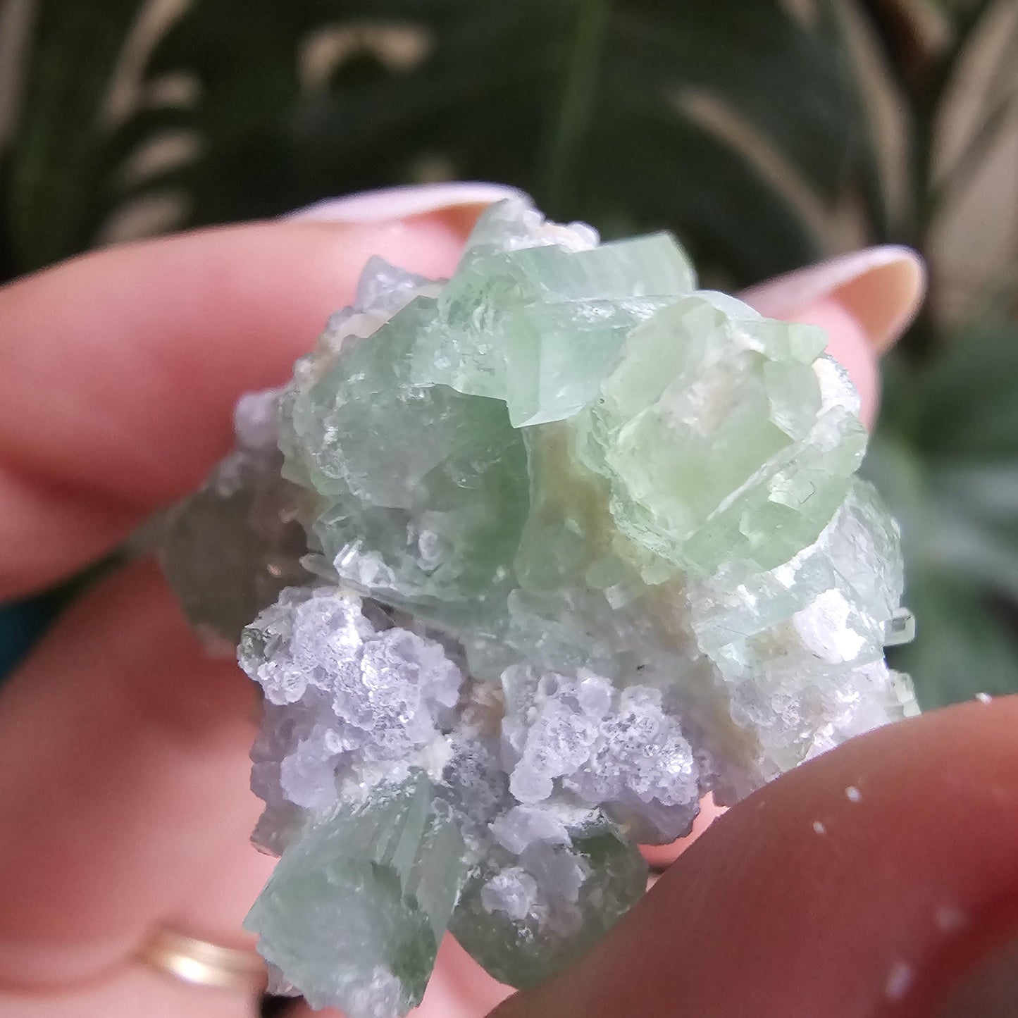 20g Seafoam Tourmaline Crystal Cluster, Lavender Purple Lepidolite Sparkles, Rare Raw Gemmy Mineral Specimen for Collection, HQ Gem, Laghman