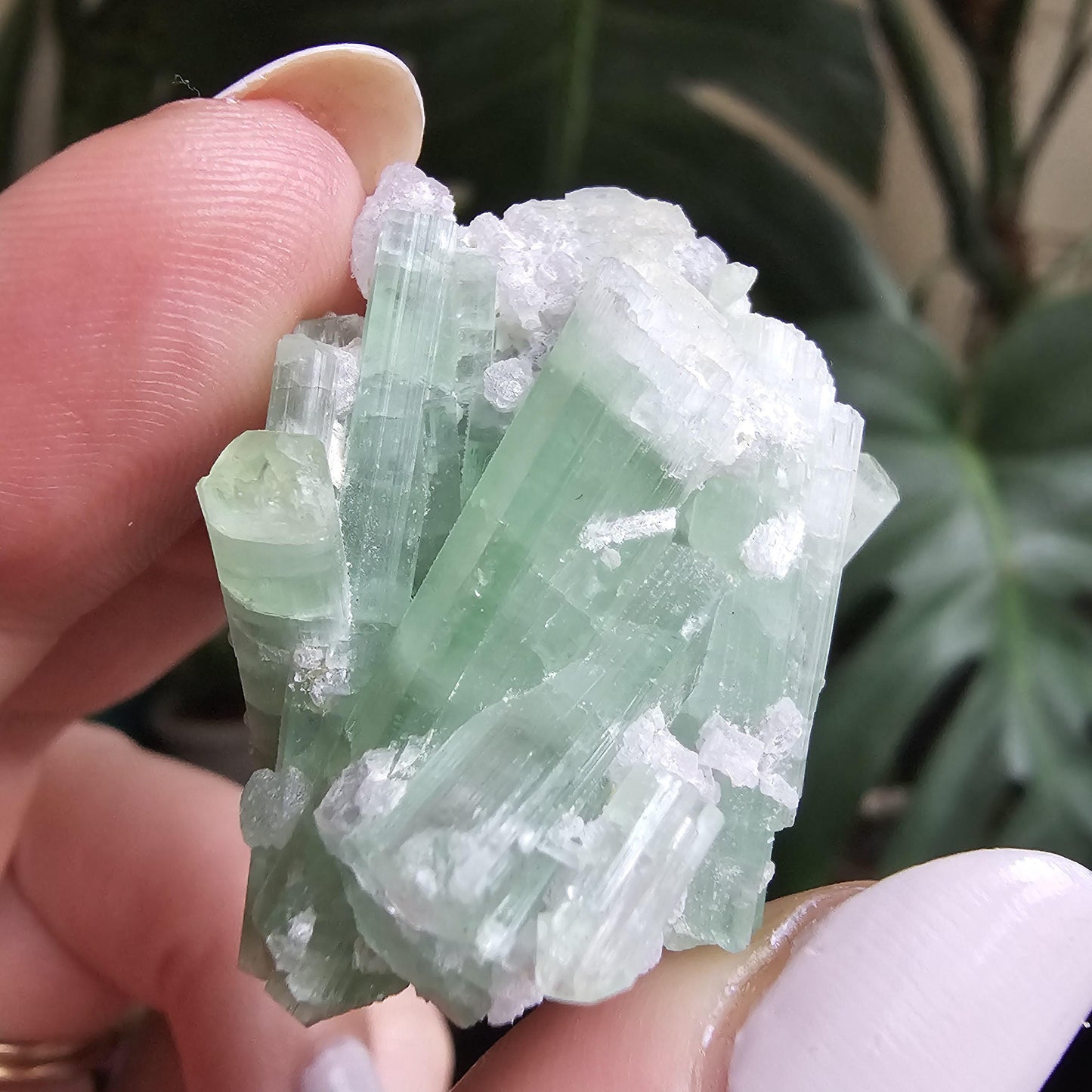 20g Seafoam Tourmaline Crystal Cluster, Lavender Purple Lepidolite Sparkles, Rare Raw Gemmy Mineral Specimen for Collection, HQ Gem, Laghman