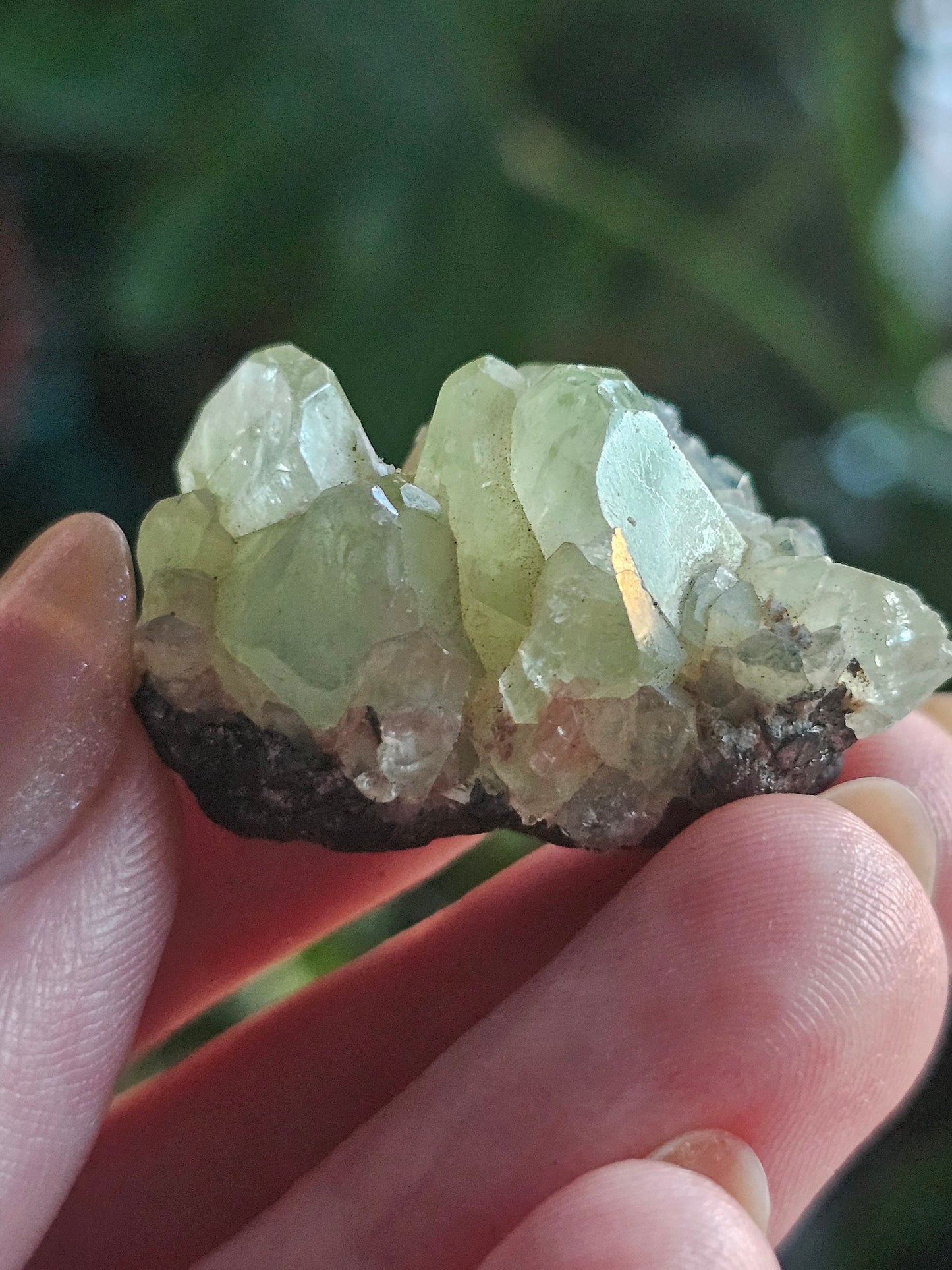 17.5g Diopside Cluster, Raw Rare Mint Green Crystal, Tanzania, Gemmy Diopside Specimen, Old Stock, Collector Gemstone, Lustrous High End Gem