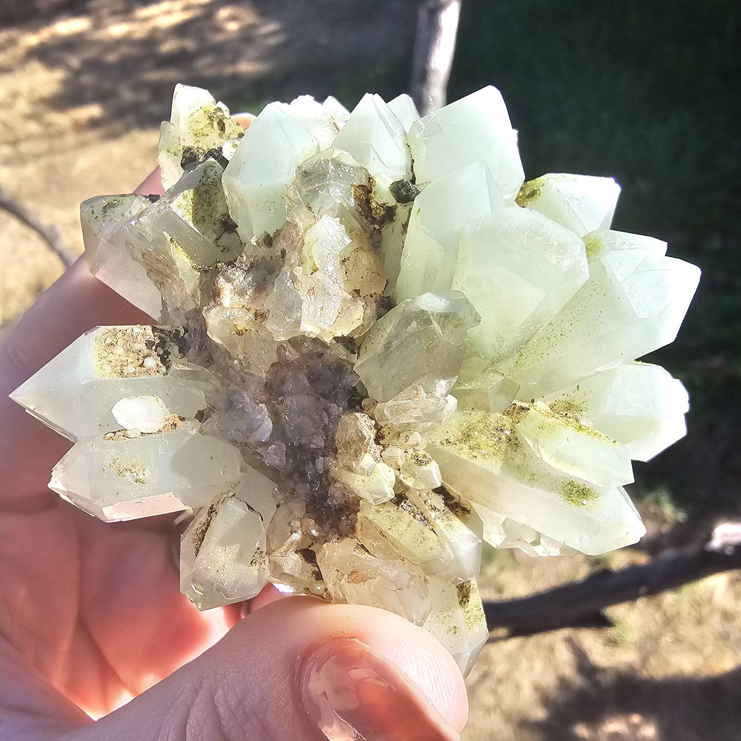 Epidote & Minty Blue Phantom Quartz ~ Very Rare Radial, Flowering Formation
