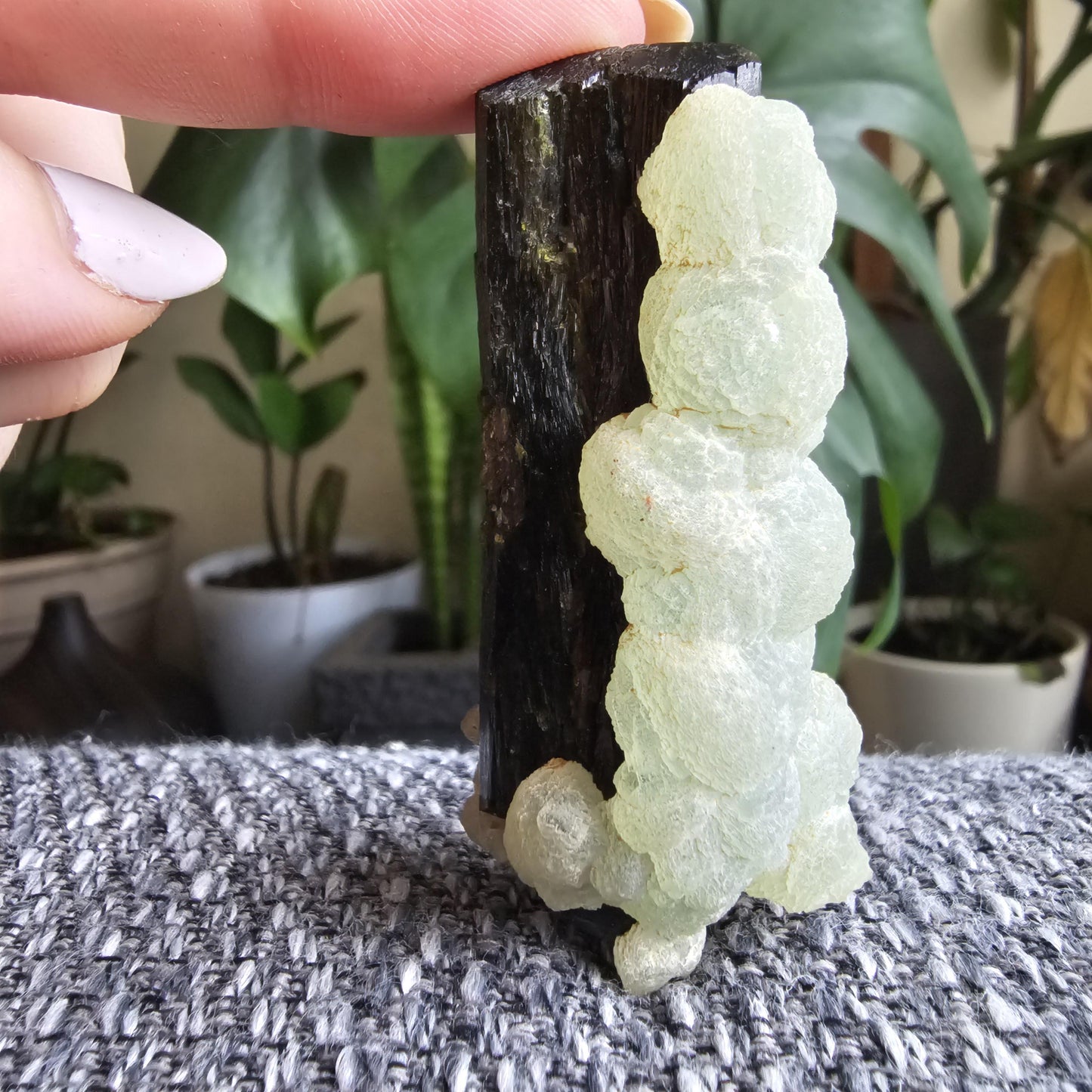 Terminated Large Deep Green Natural Epidote Crystal with Botryoidal Prehnite