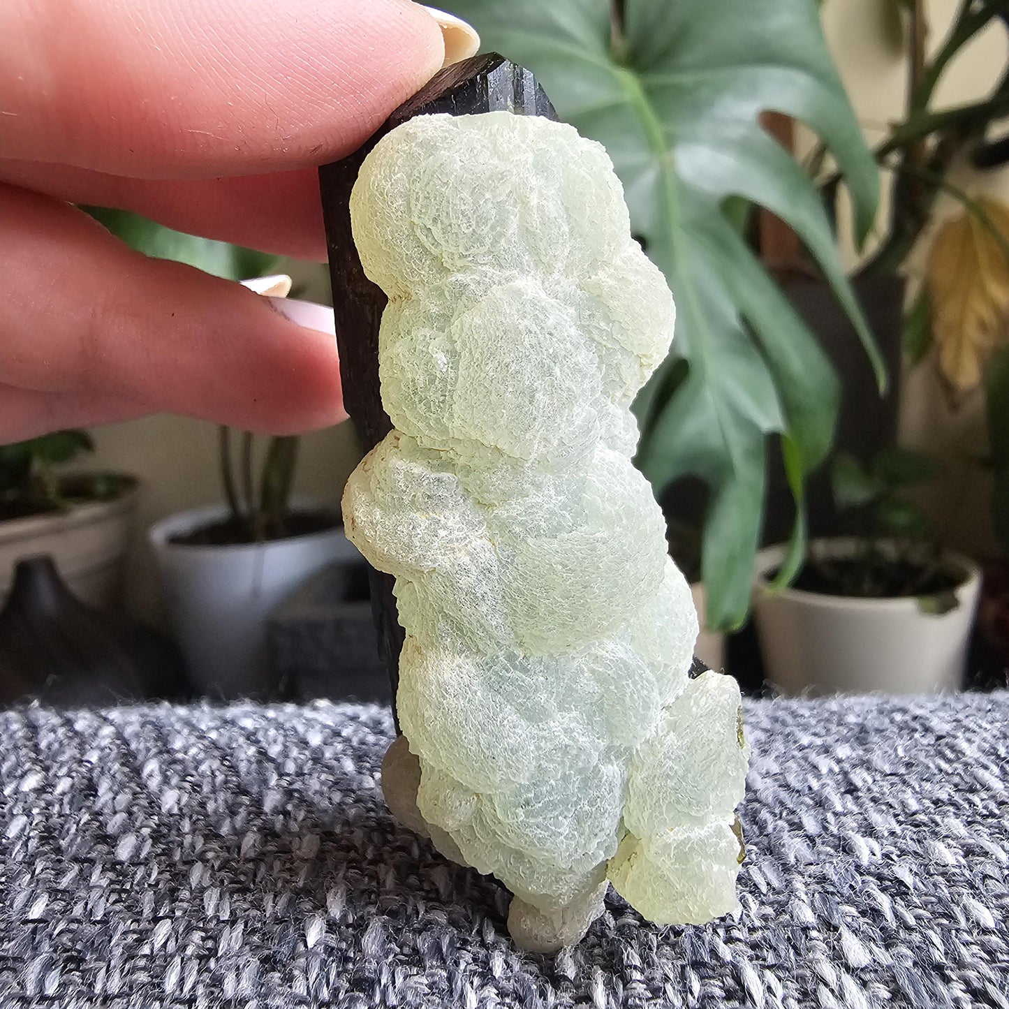 Terminated Large Deep Green Natural Epidote Crystal with Botryoidal Prehnite