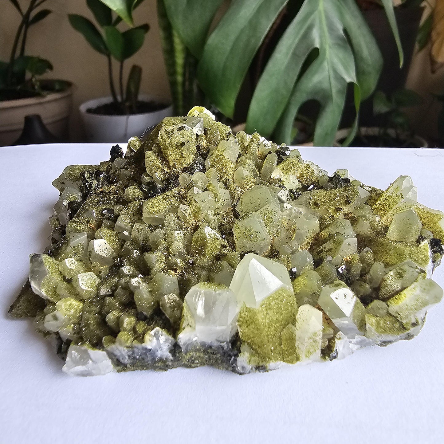 Epidote on Phantom Quartz, Chlorite or Fuschite Included New Find Combo Specimen