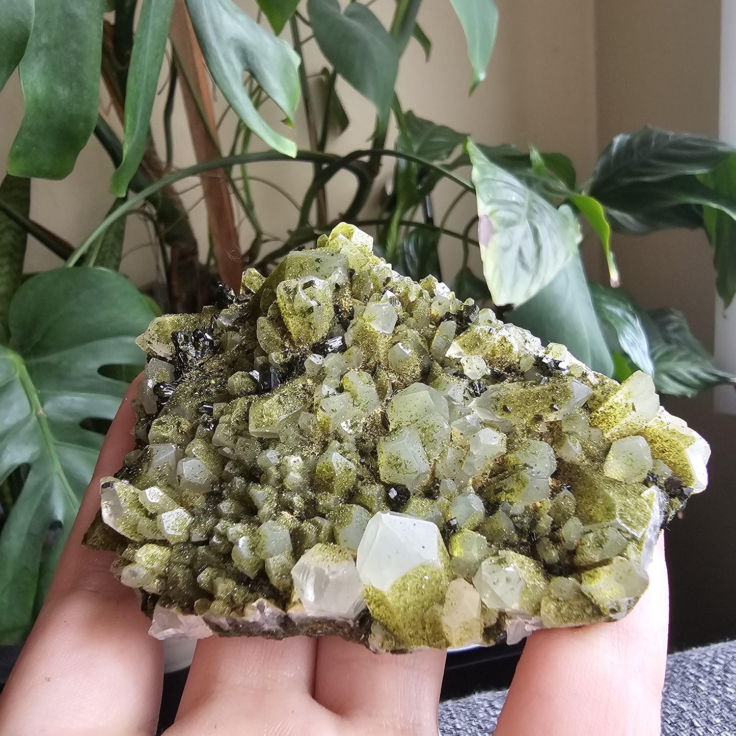 Epidote on Phantom Quartz, Chlorite or Fuschite Included New Find Combo Specimen
