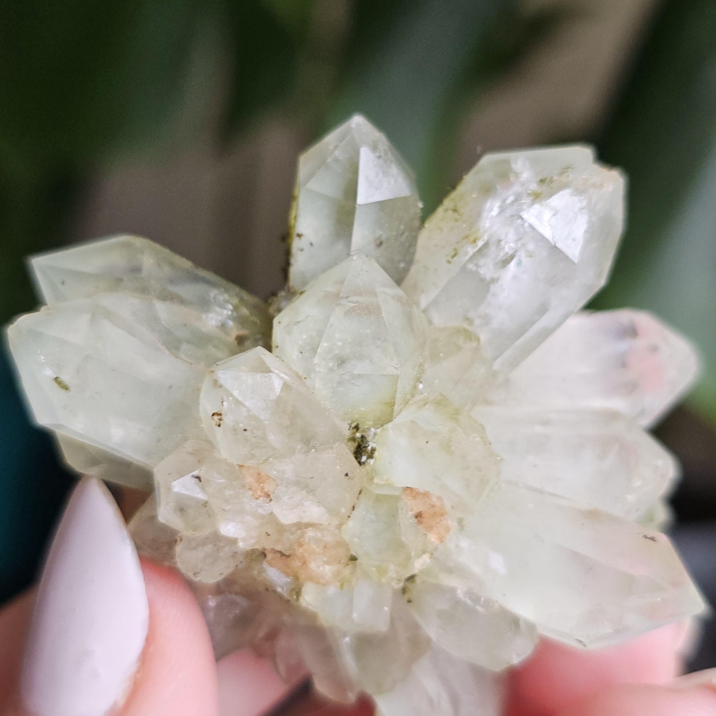 Flowering Quartz Specimen, Phantom Quartz Crystals from Turkey New Find <100