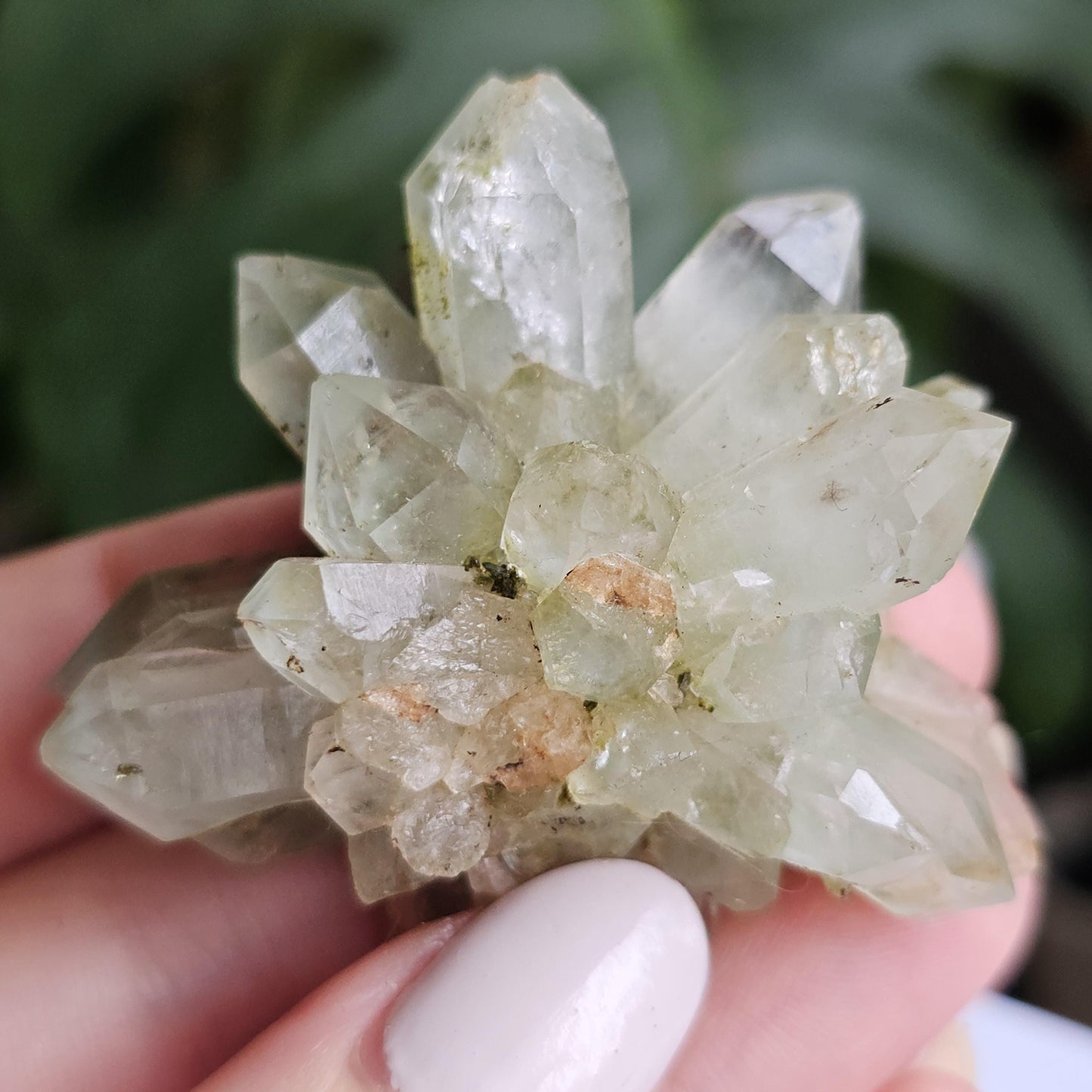 Flowering Quartz Specimen, Phantom Quartz Crystals from Turkey New Find <100